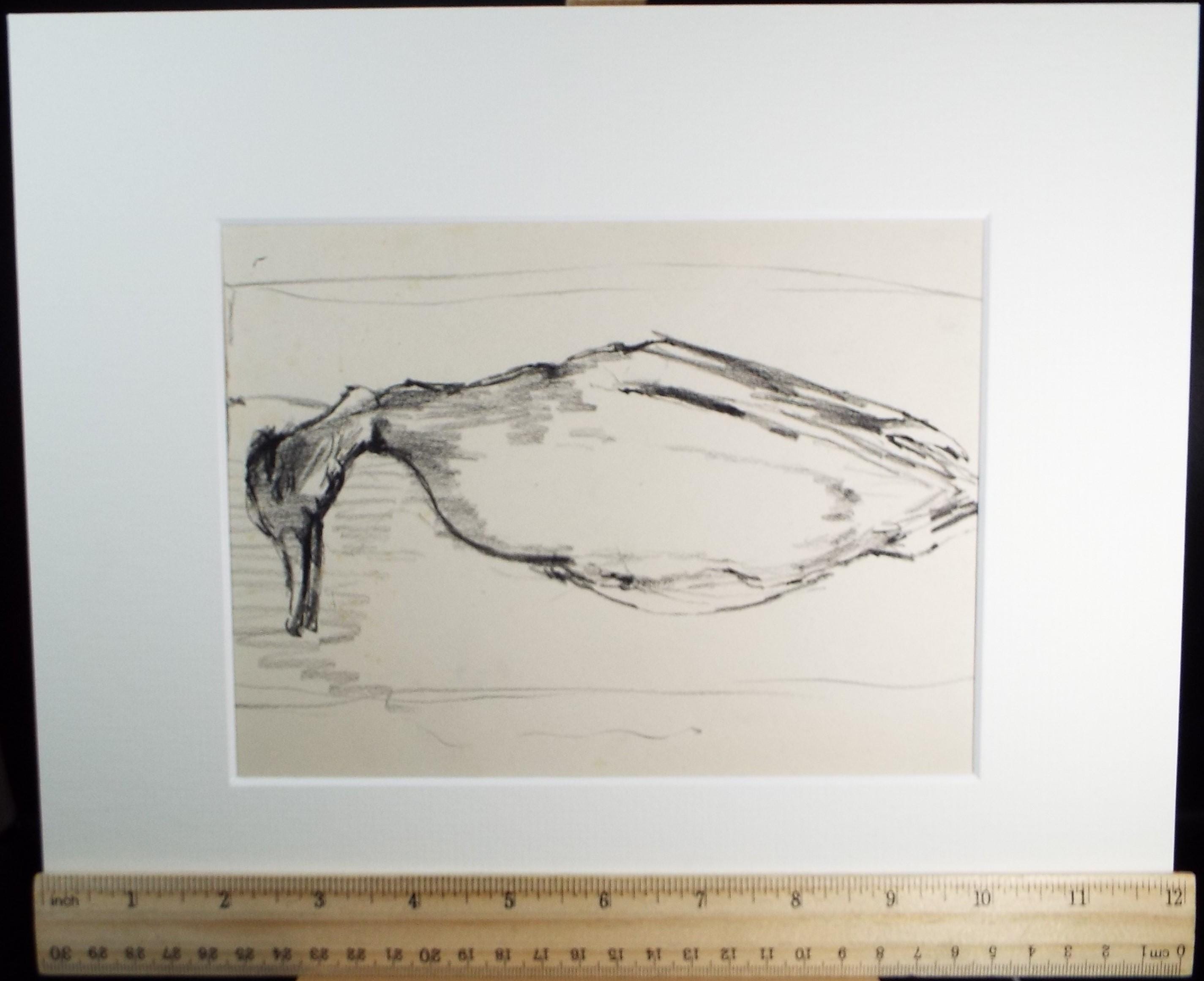 Original Pastel, 'Mallard Study', 1950's, Mariota Bosanquet 1923 -2022