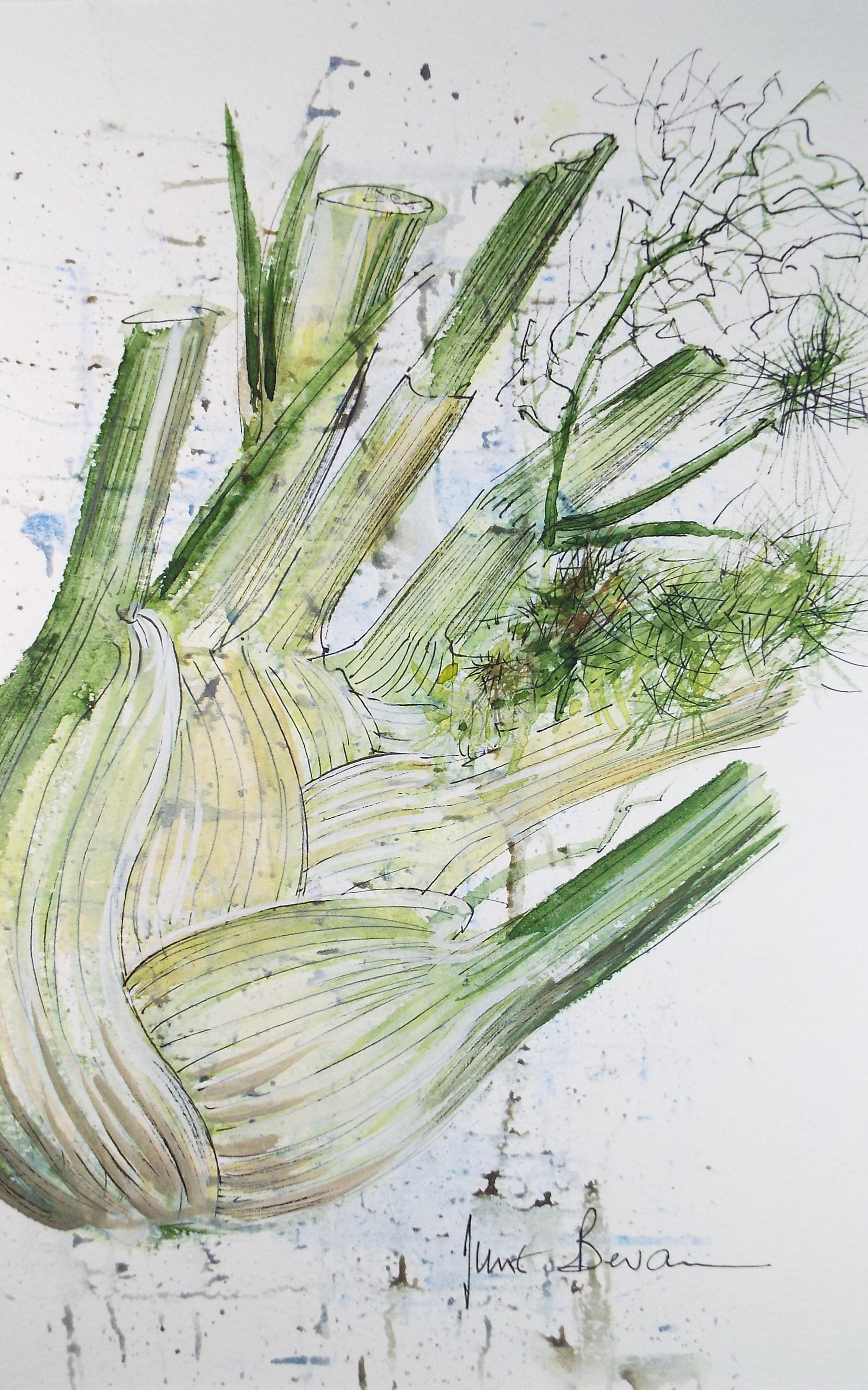 Original Watercolour,'Fennel Study', June Bevan, Circa 1990's