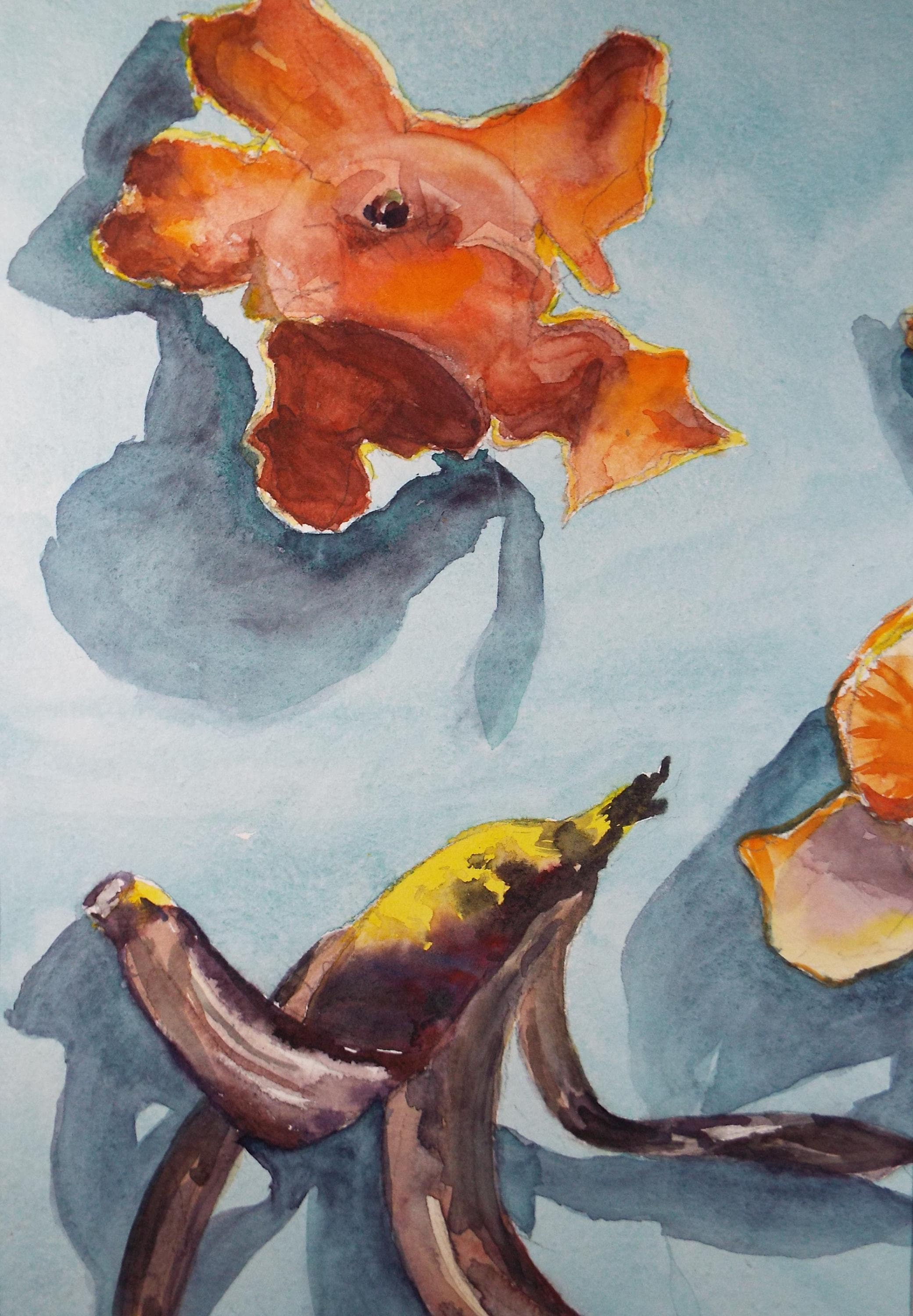 Original Watercolour, 'Still Life of Fruit Peel', June Bevan, Circa 1990's