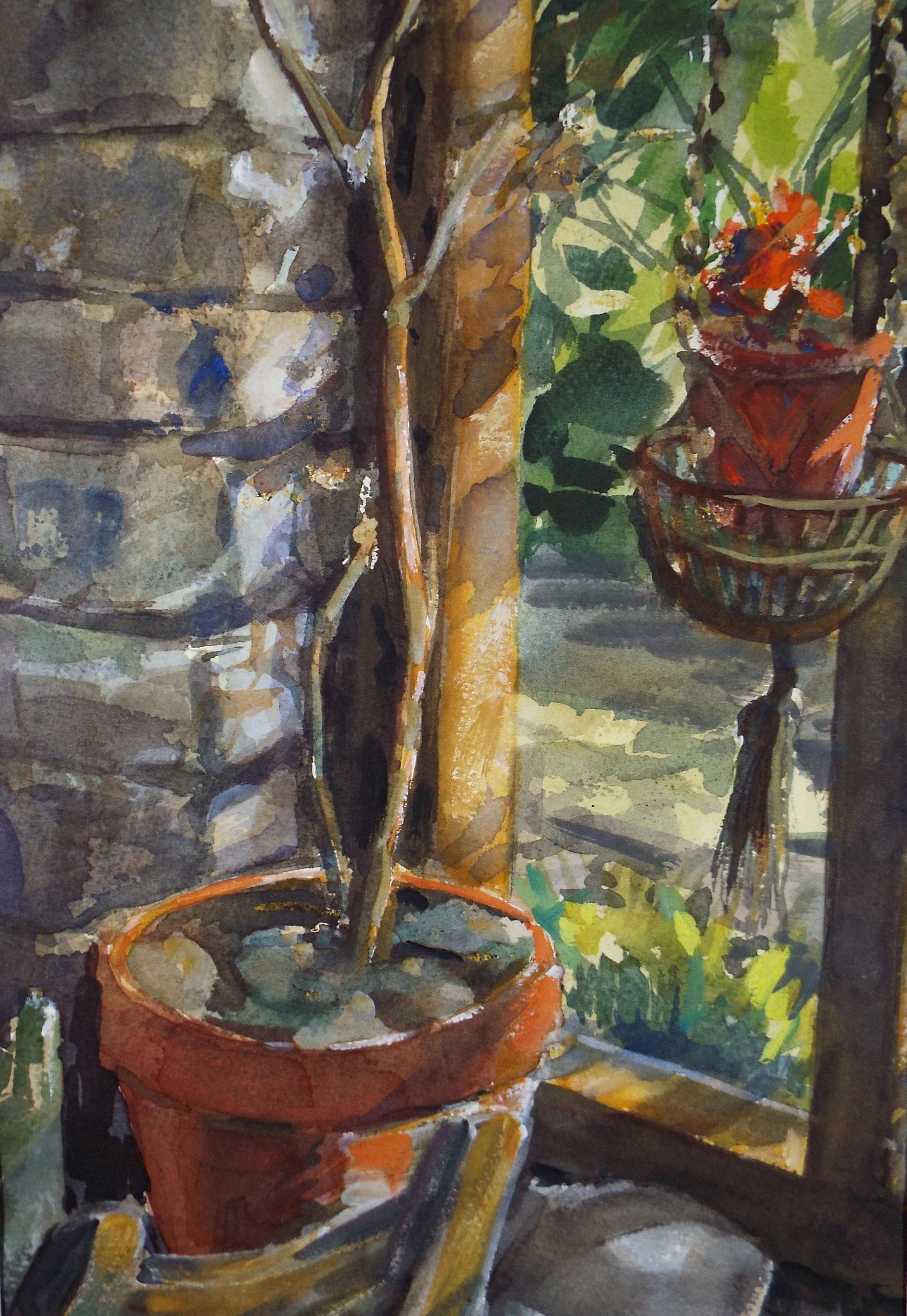 Original Watercolour, 'Plants on the Terrace', June Bevan, Circa 1990's