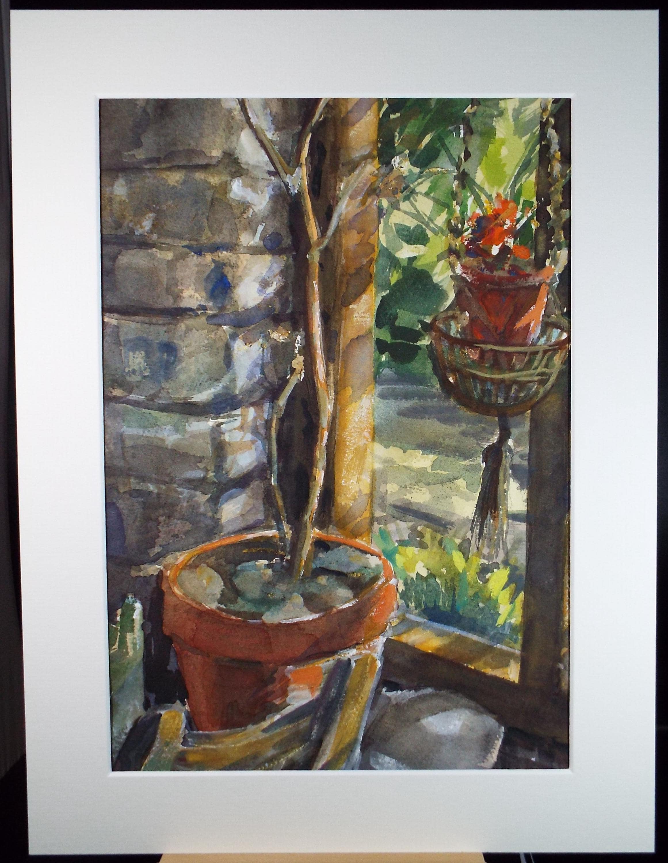 Original Watercolour, 'Plants on the Terrace', June Bevan, Circa 1990's
