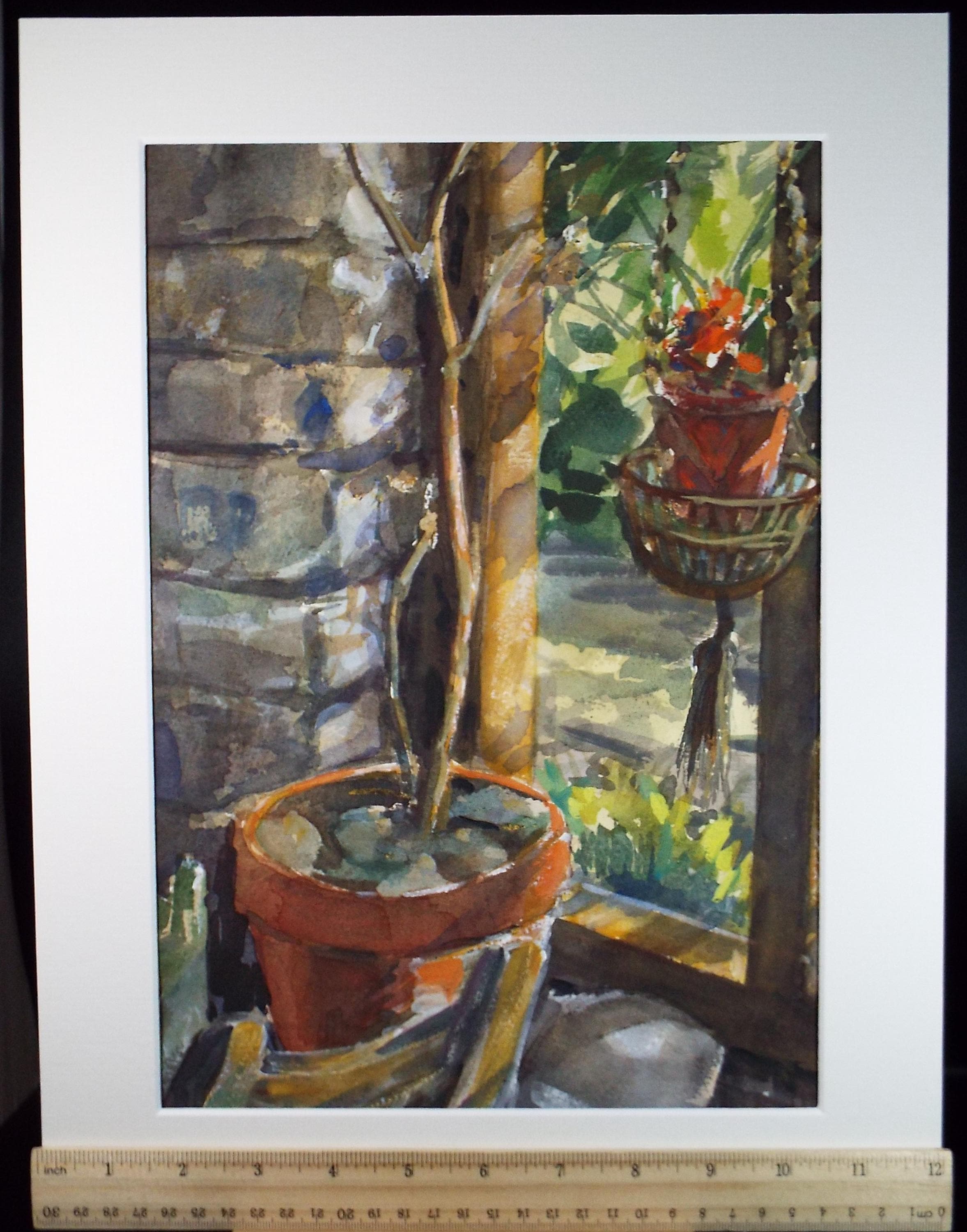 Original Watercolour, 'Plants on the Terrace', June Bevan, Circa 1990's