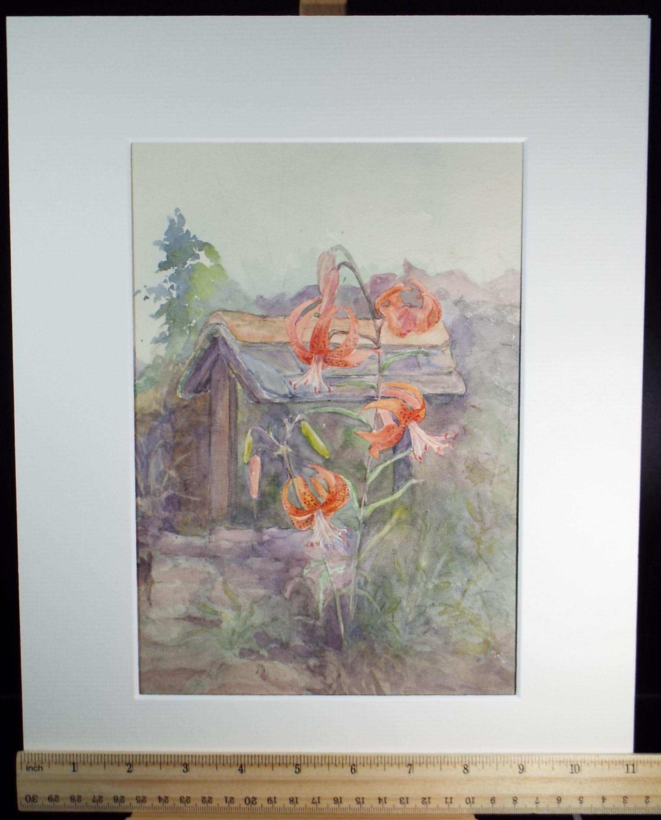 Original Watercolour,'Lily in a Landscape', Artist Unknown, circa 1970's