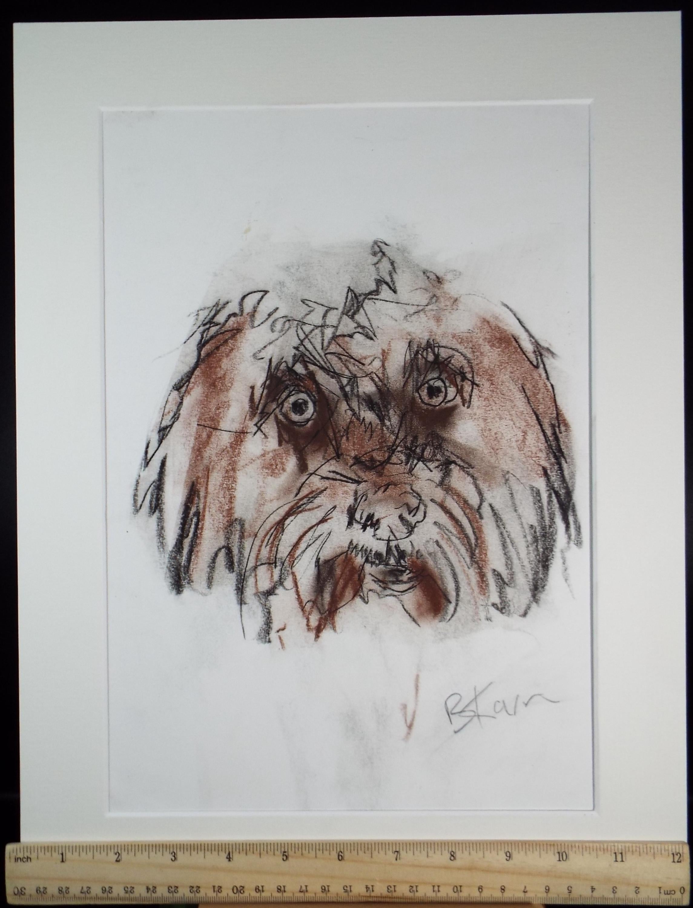 Barbara Karn (b1949) Original Charcoal/Conte Drawing ,'Terrier', Circa 2000