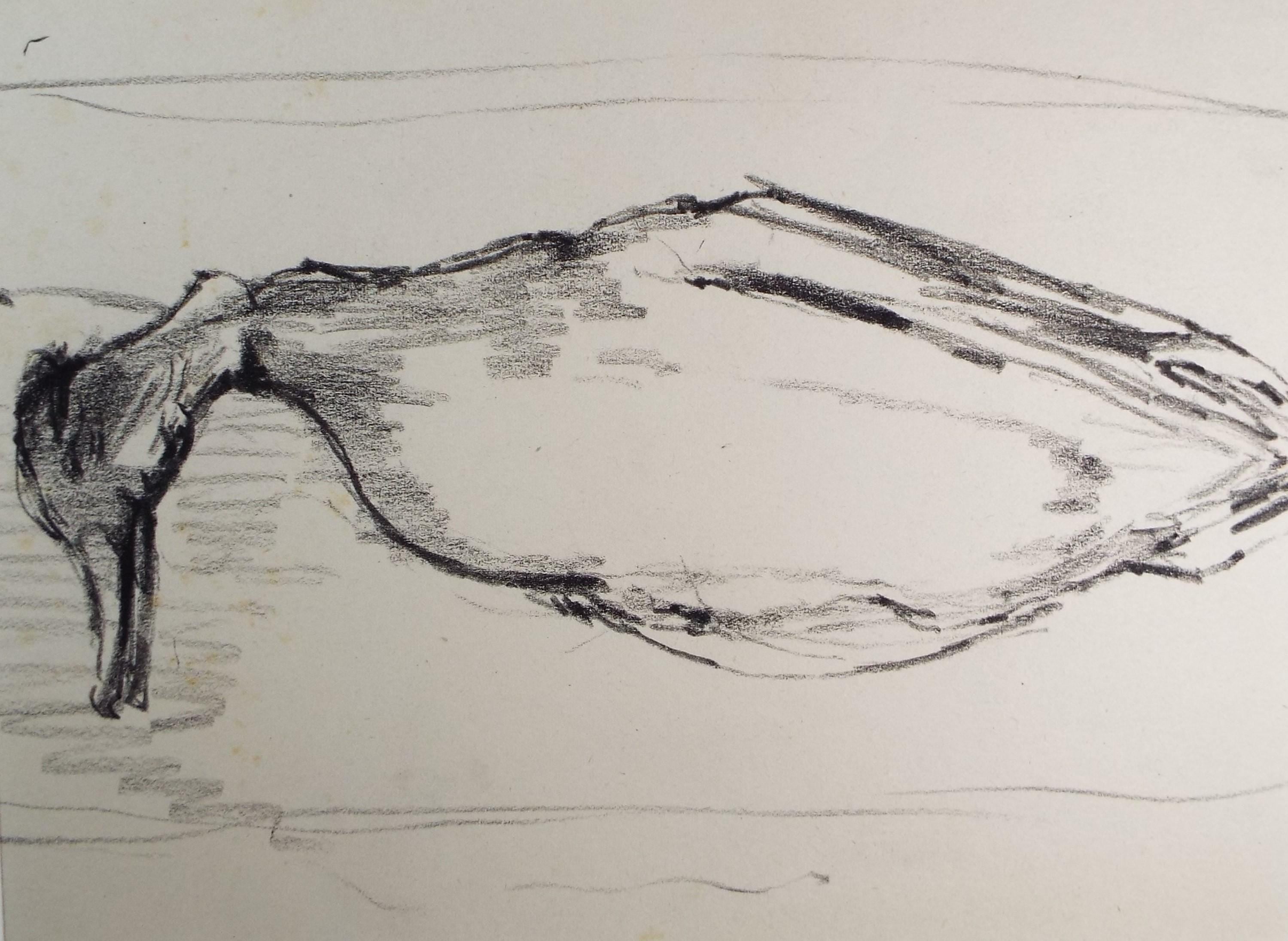 Original Pastel, 'Mallard Study', 1950's, Mariota Bosanquet 1923 -2022