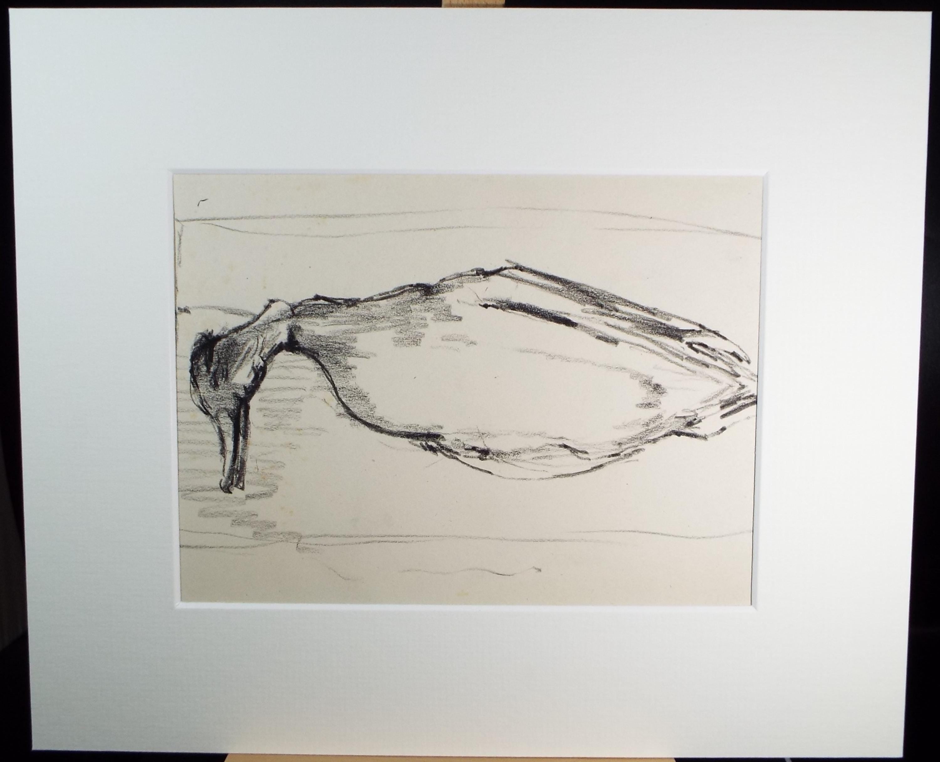 Original Pastel, 'Mallard Study', 1950's, Mariota Bosanquet 1923 -2022