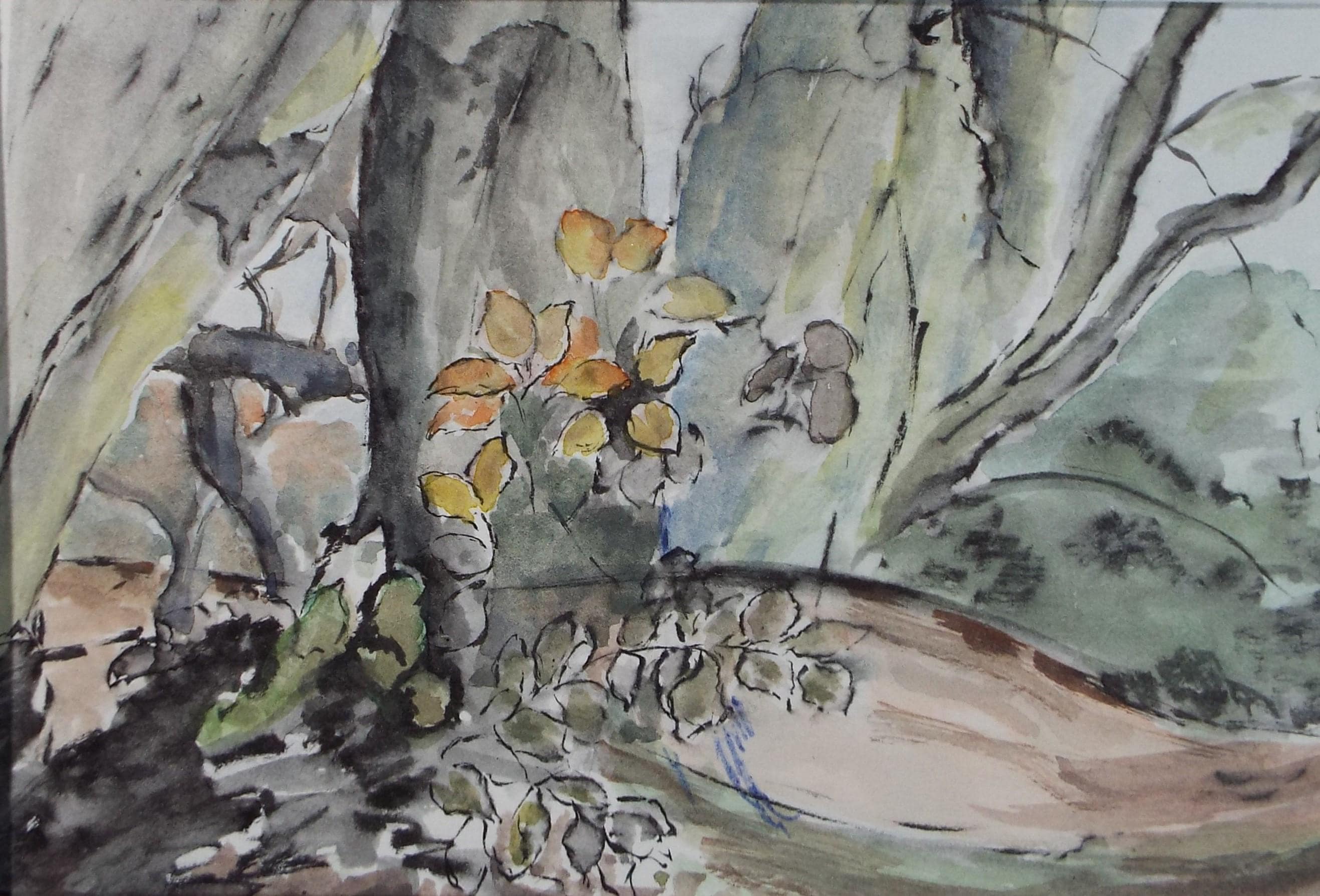 Original Watercolour, 'Woodland Study', artist unknown, circa 1960's