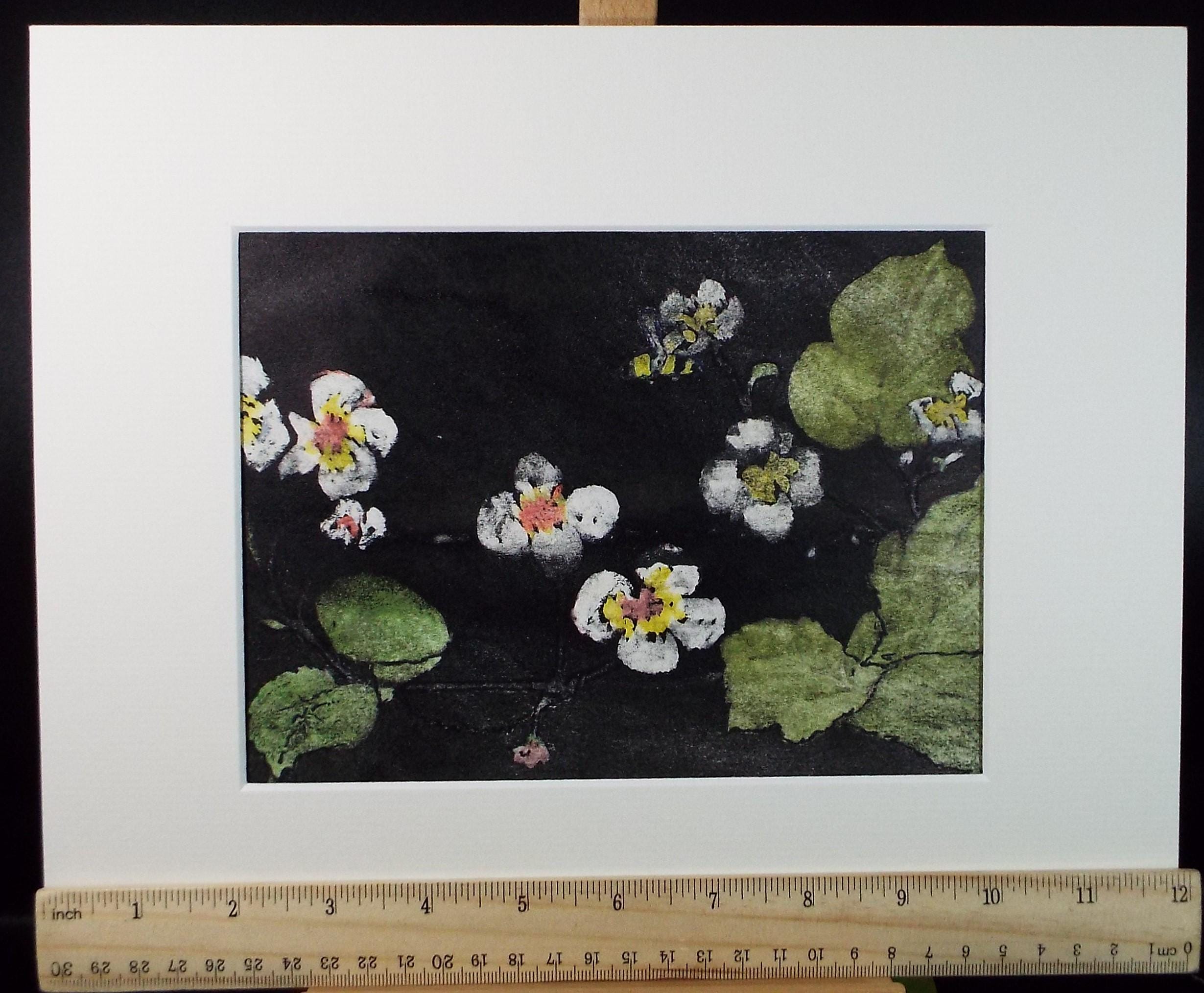 Original Monotype/Monoprint, 'Brambles', Dated 1983. Marie W Hiorns