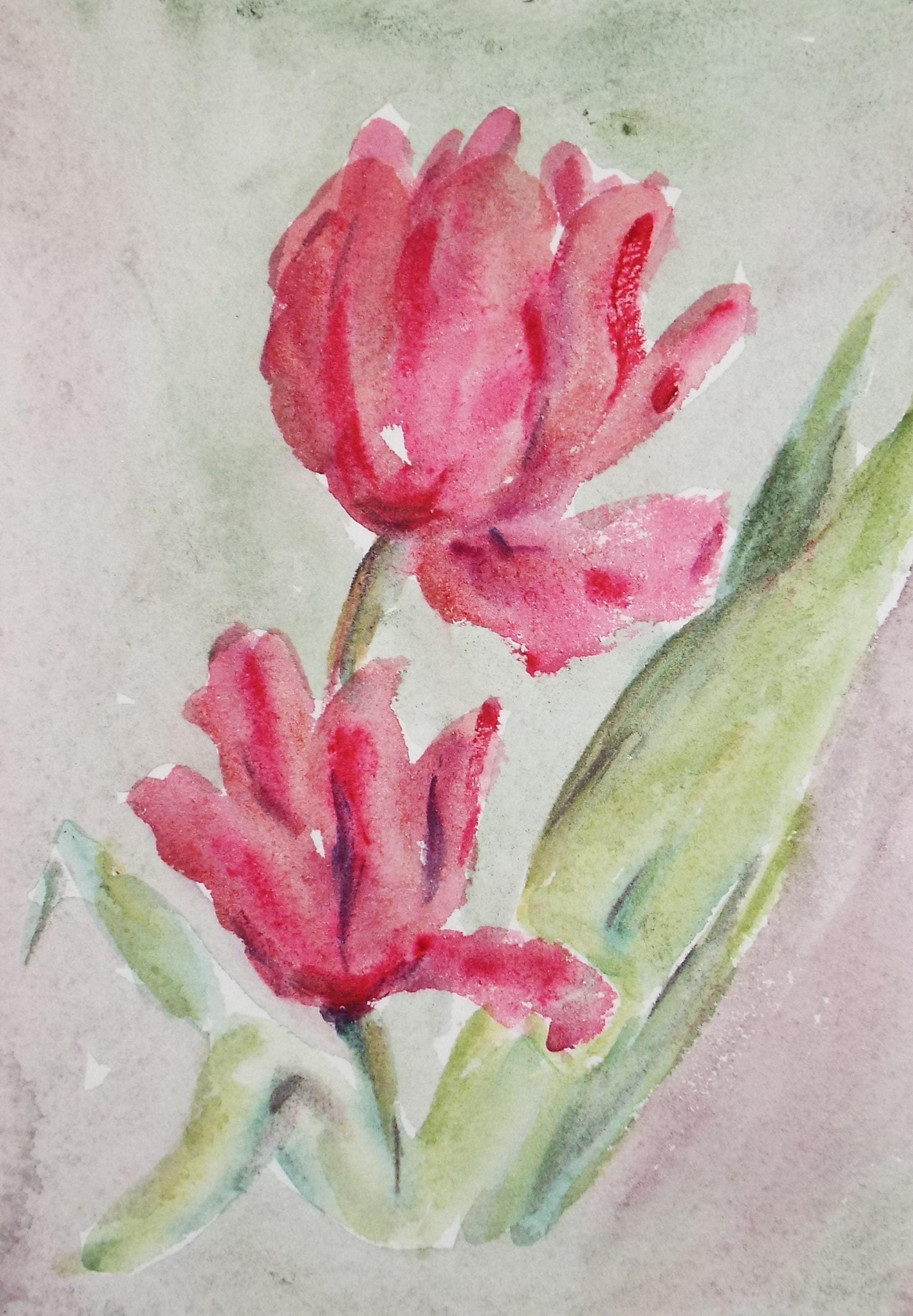 Original Watercolour, 'Red Tulips', Circa 1980's, Artist Unknown