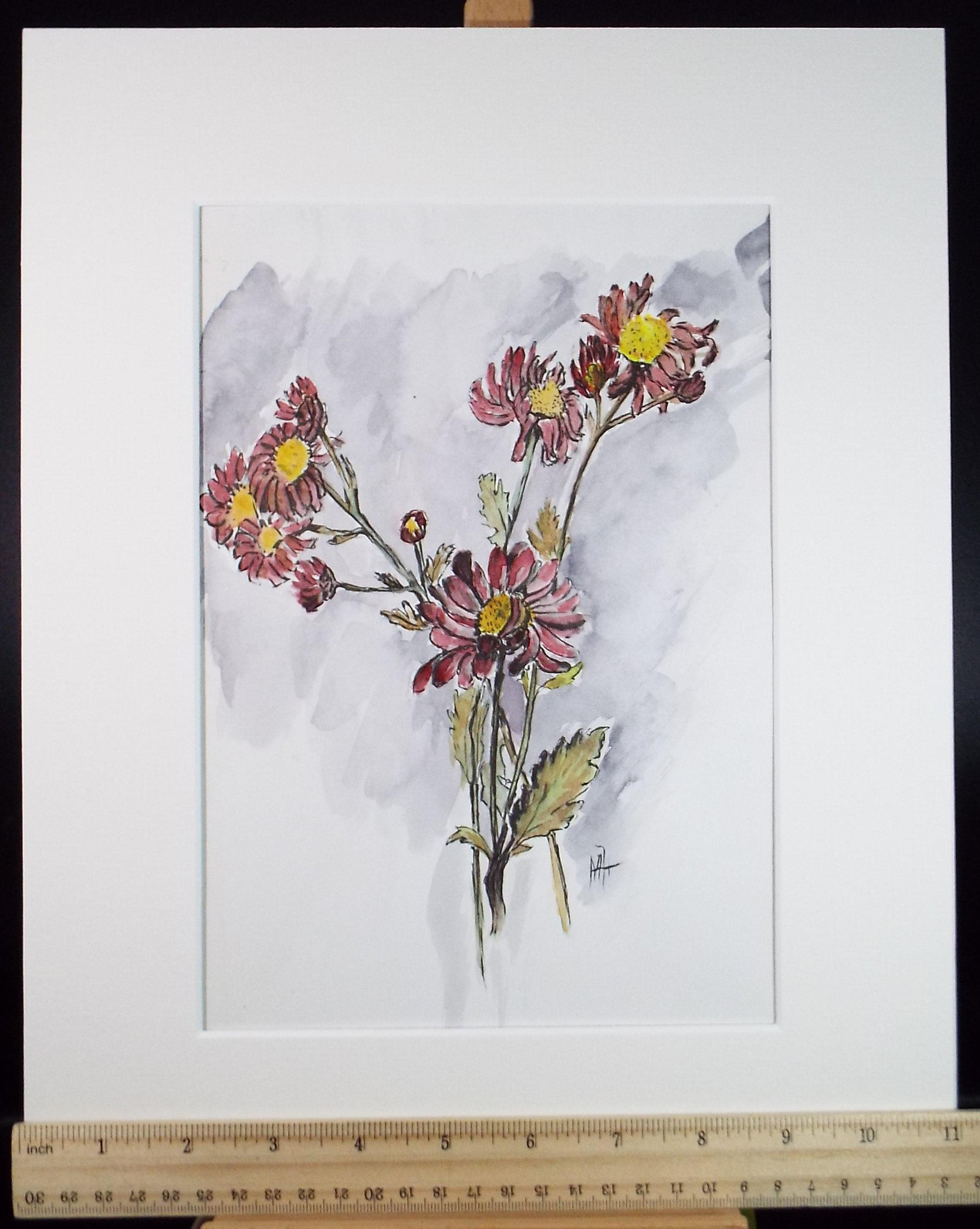 Original Watercolour, 'Echinacea Study', Marie W. Hiorns, circa 1980's