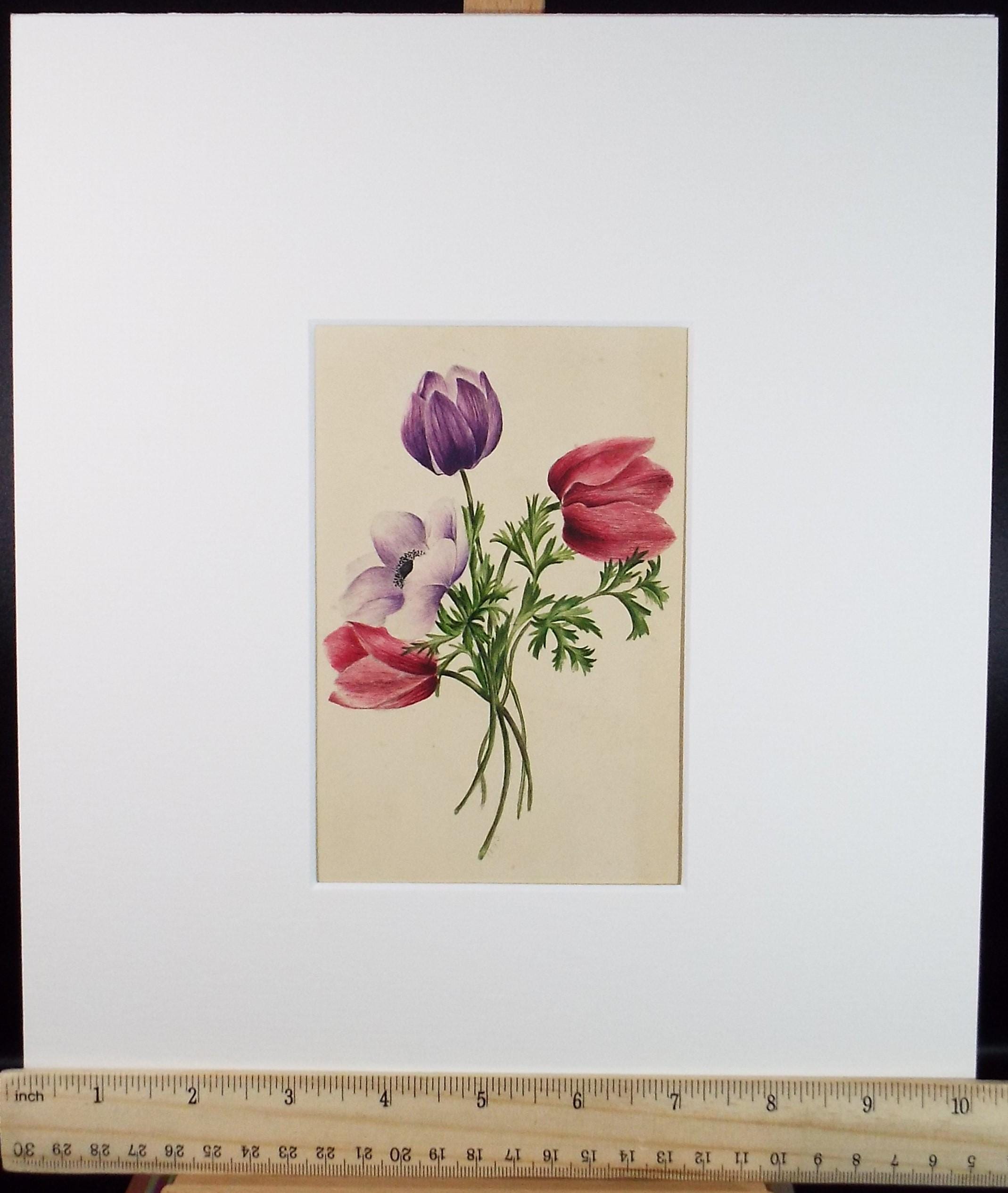 Original Watercolour, 'Poppies and Tulips', dated 1845, artist Unknown