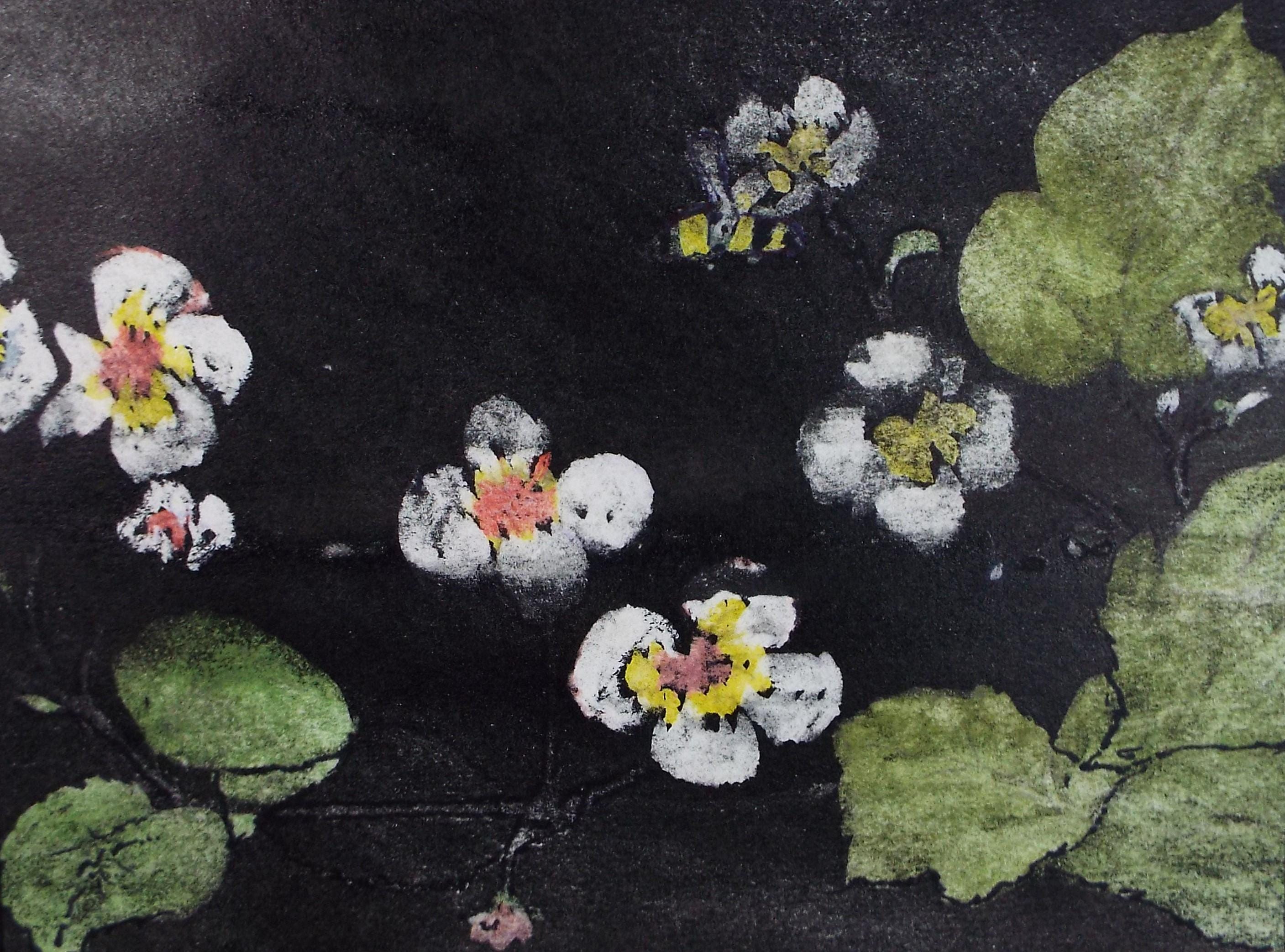 Original Monotype/Monoprint, 'Brambles', Dated 1983. Marie W Hiorns