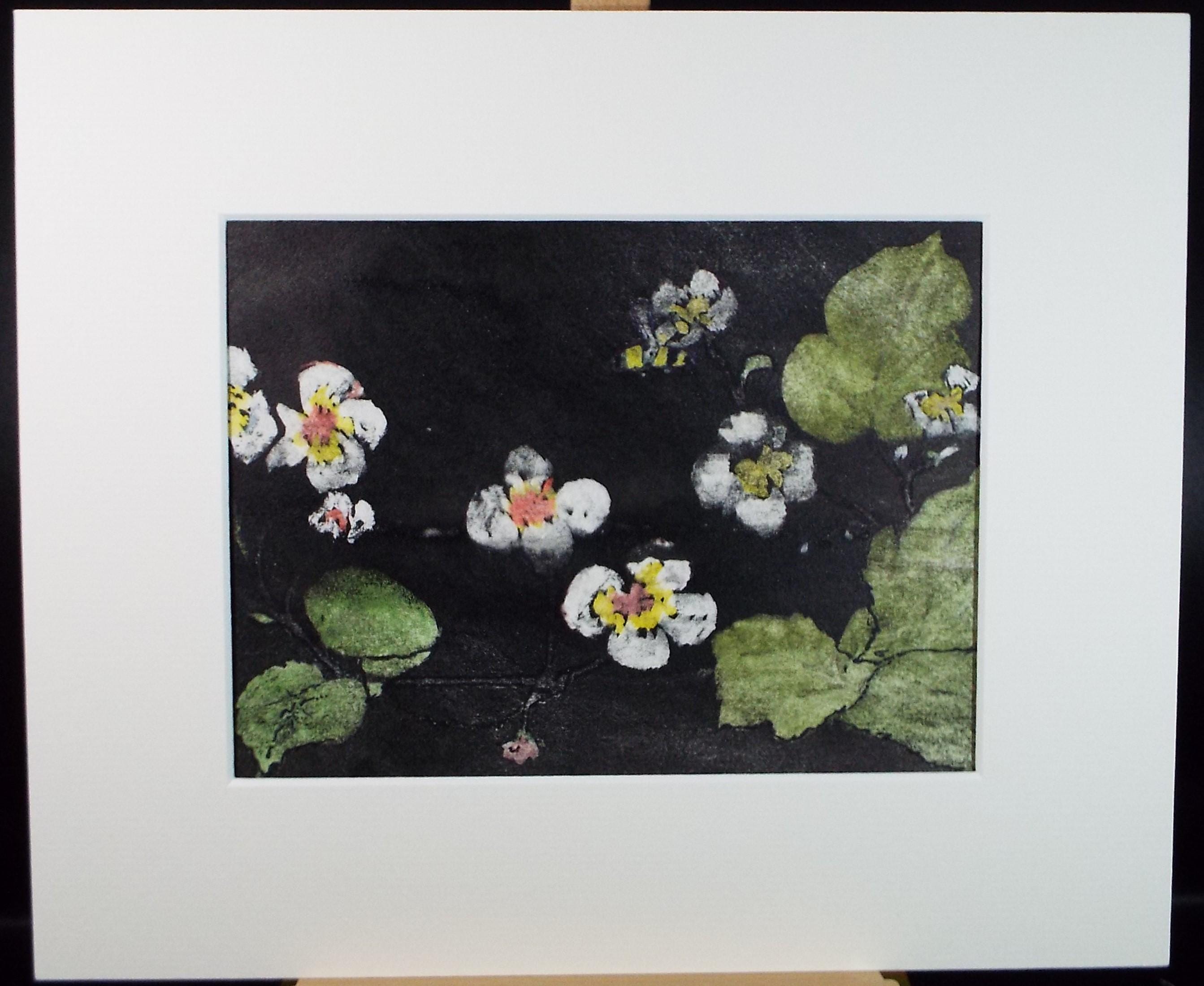 Original Monotype/Monoprint, 'Brambles', Dated 1983. Marie W Hiorns