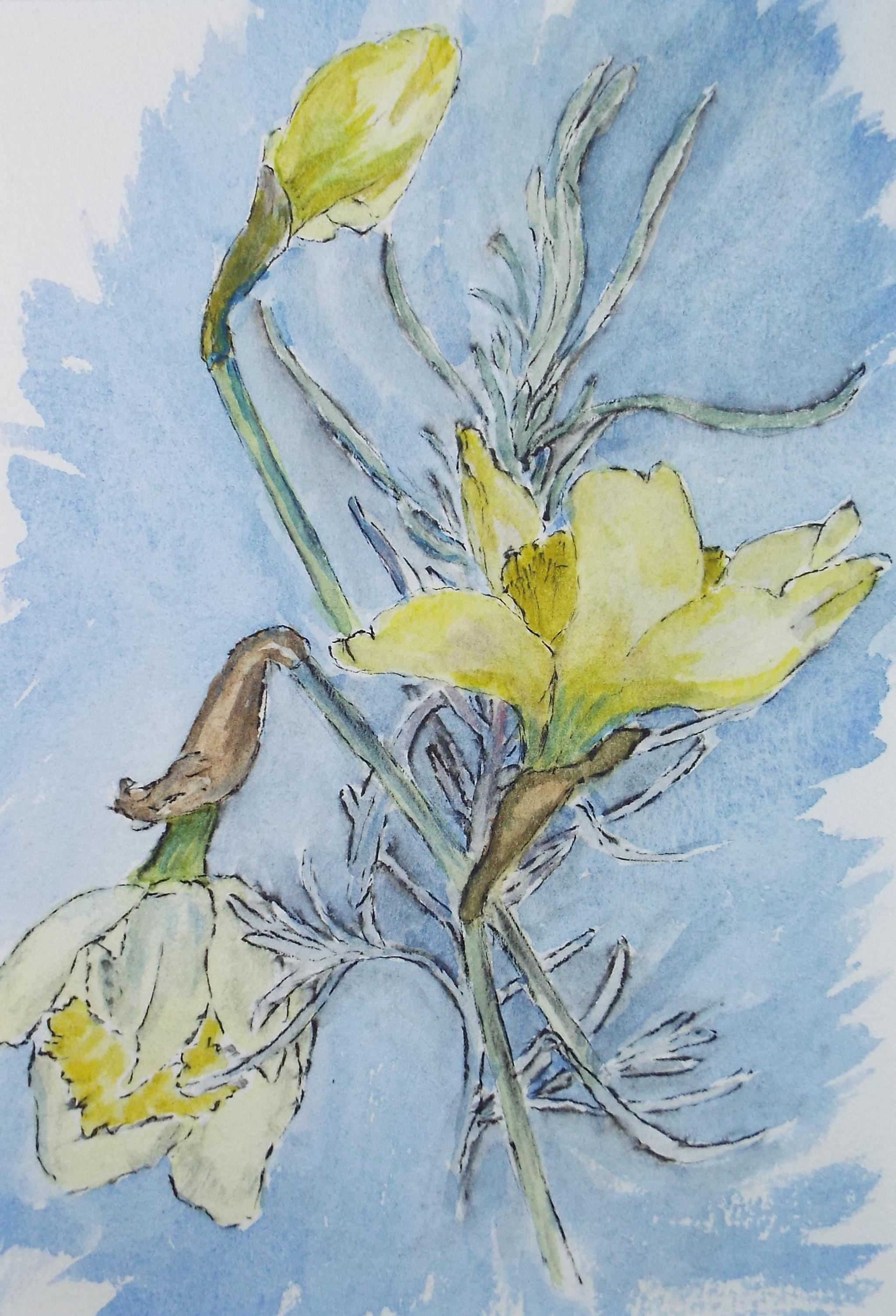 Original Watercolour, 'Spring Daffodils', circa 1980's, Marie W. Hiorns