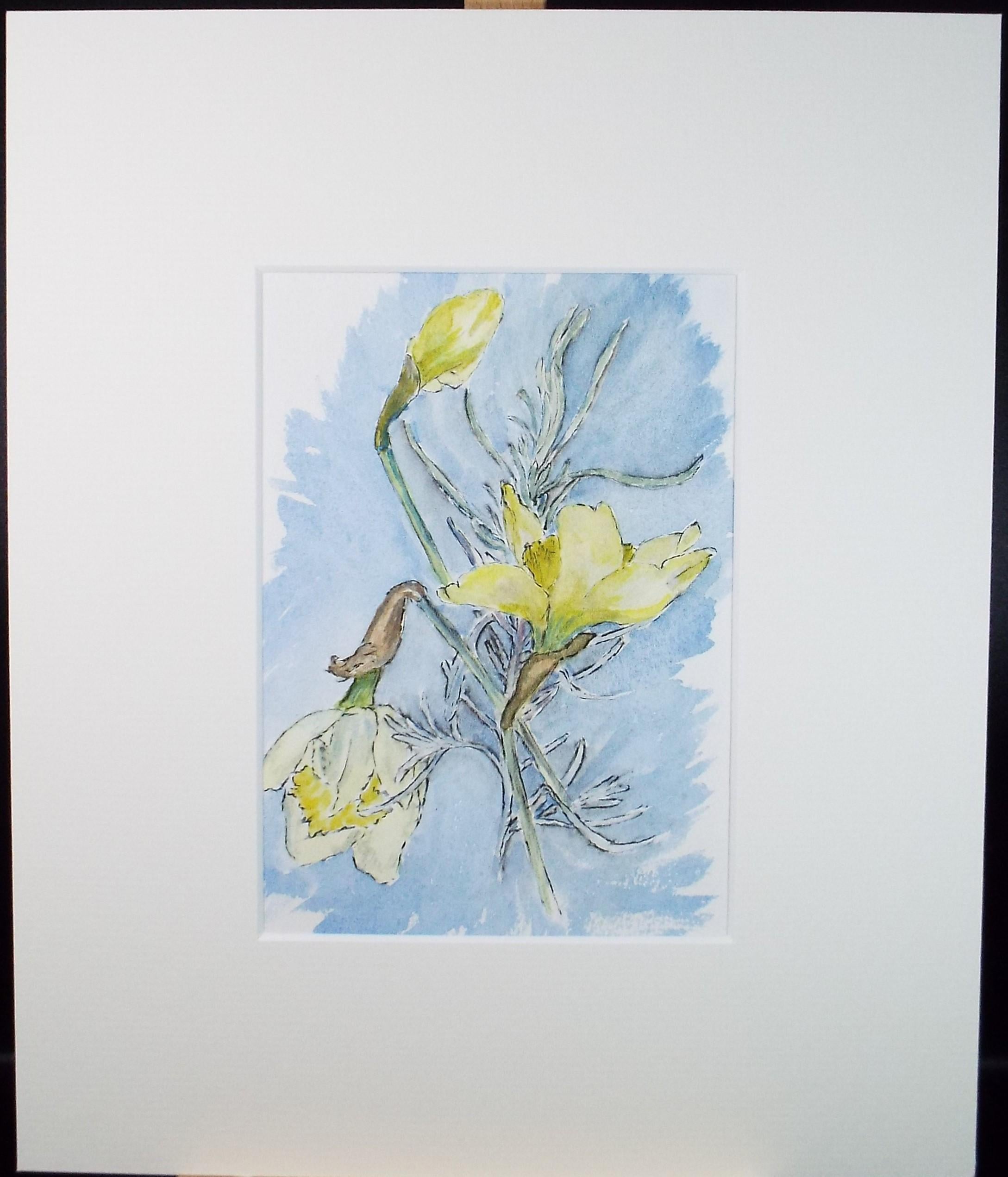 Original Watercolour, 'Spring Daffodils', circa 1980's, Marie W. Hiorns