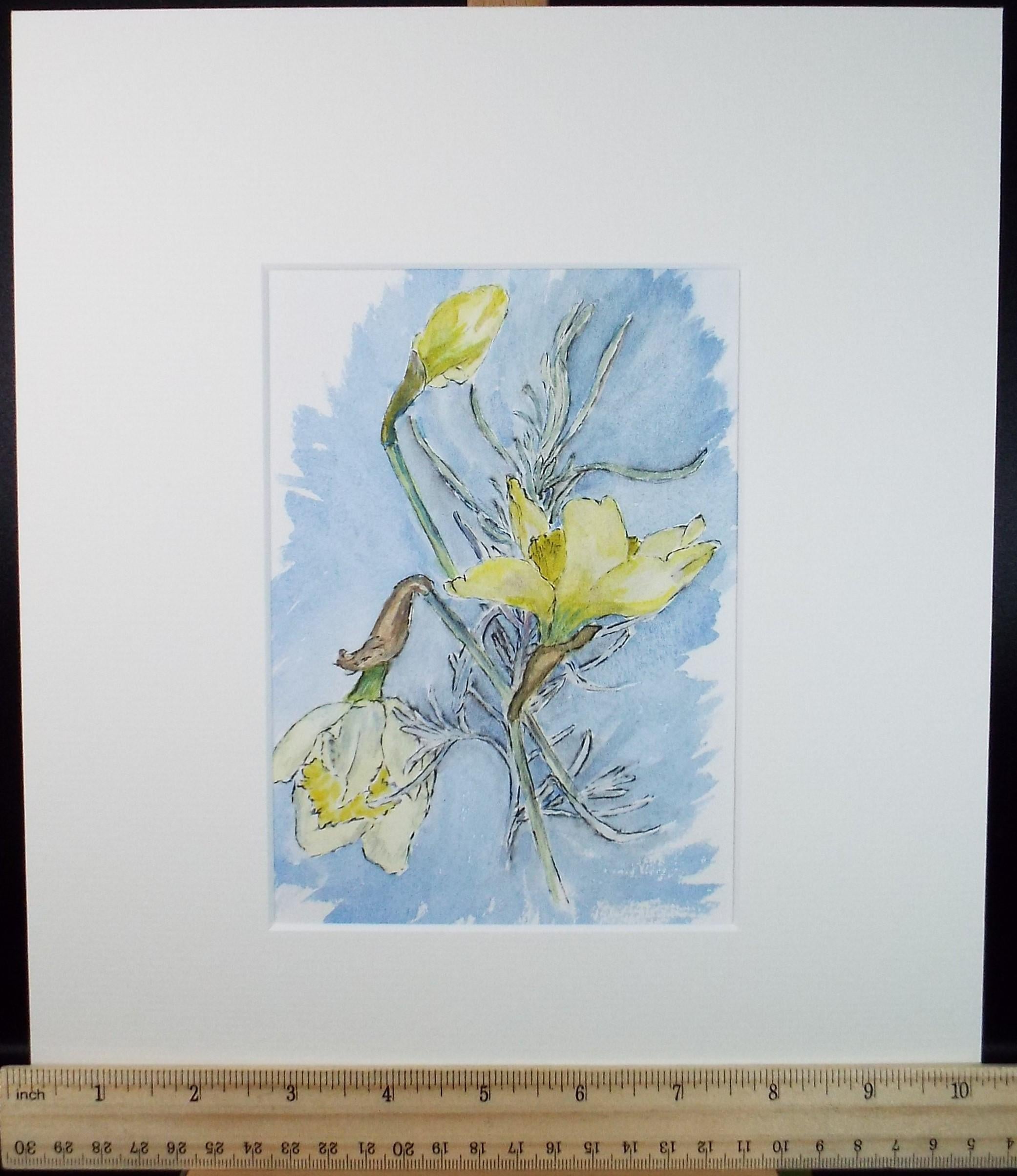 Original Watercolour, 'Spring Daffodils', circa 1980's, Marie W. Hiorns