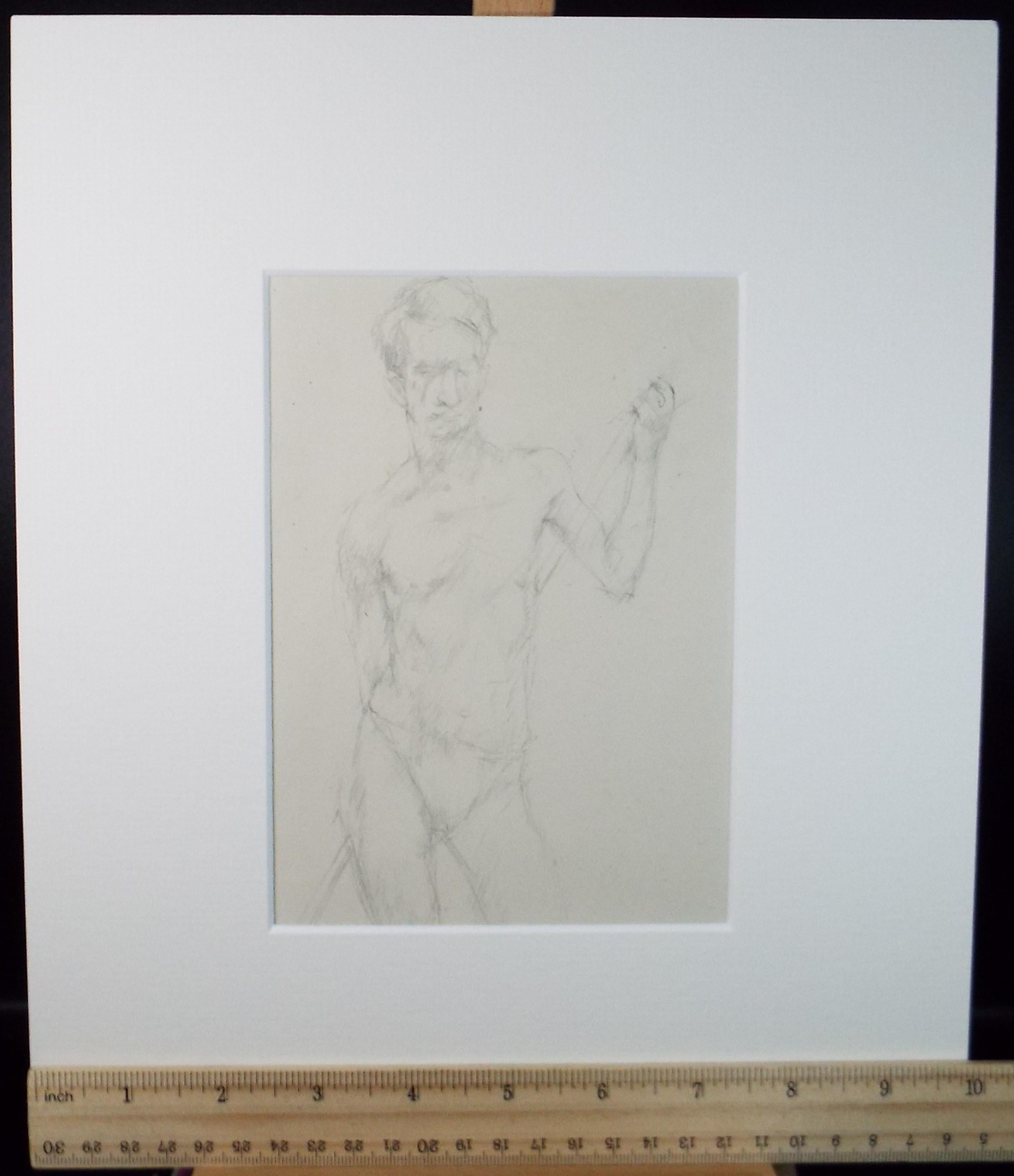 Pencil drawing 'male life study', c1950s, C.D. Finley