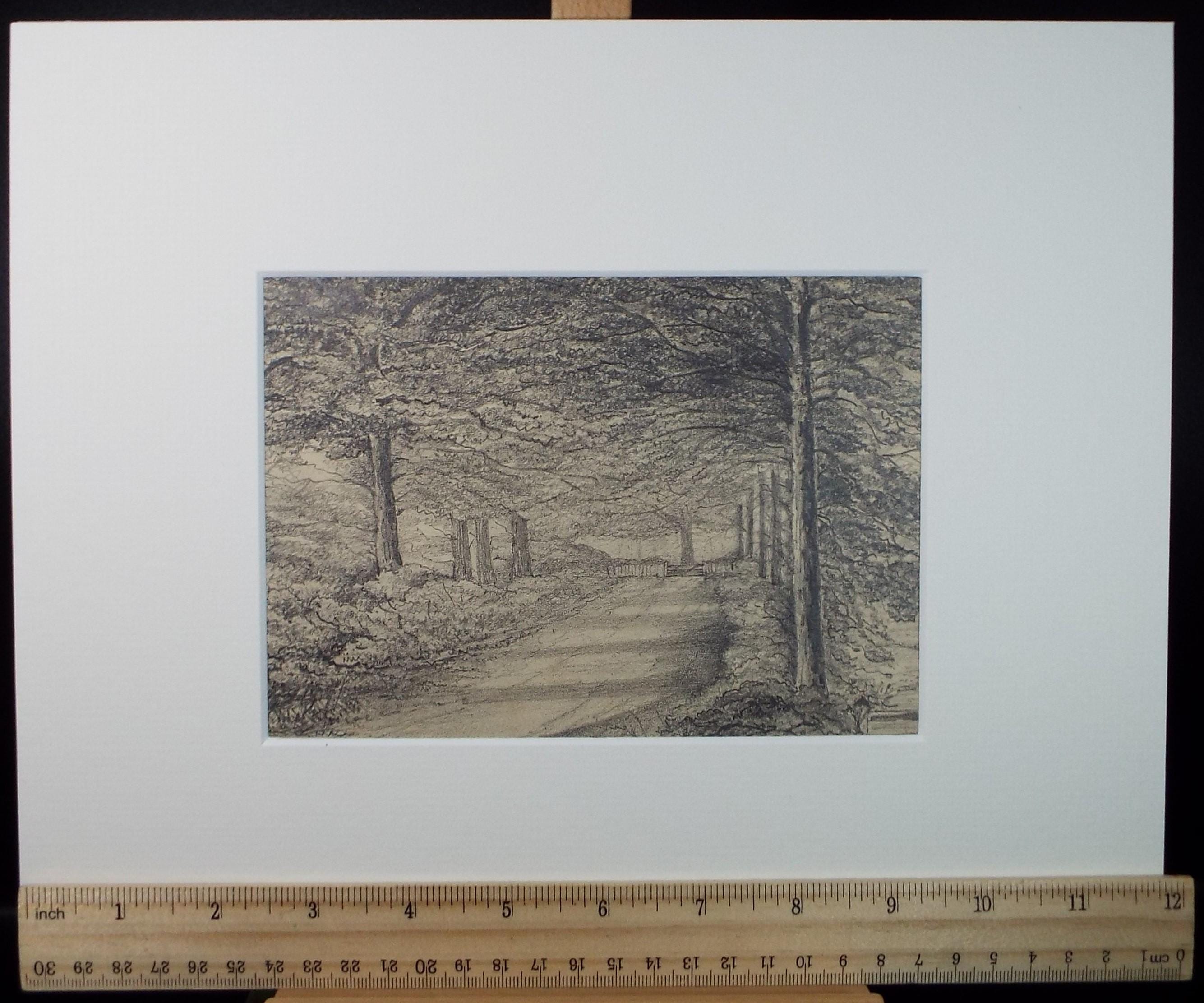 Original Pencil drawing, 'Mud Lane - Beeston Park', Dated 1874', artist unknown
