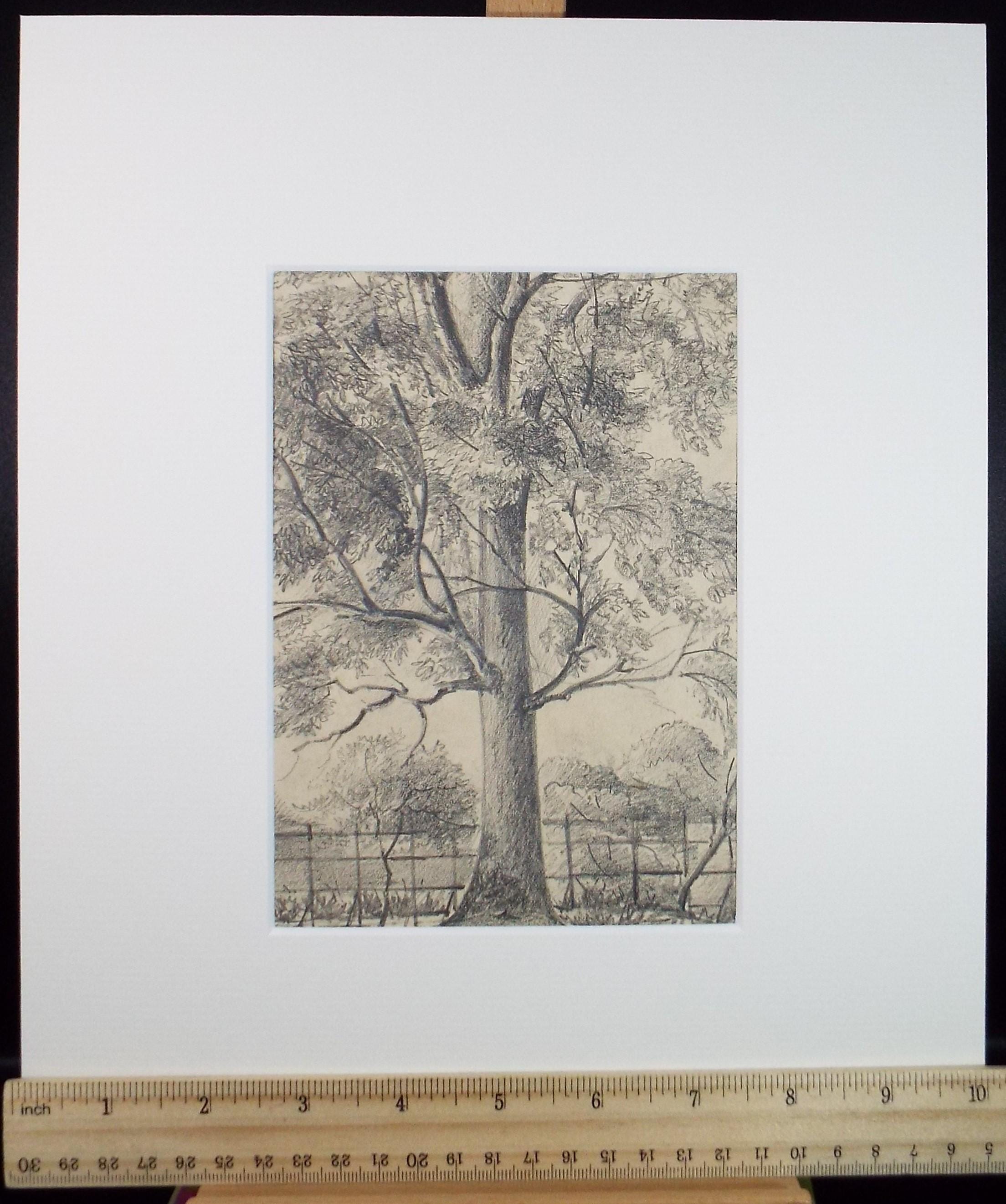 Original Pencil drawing, 'Beeston Park', Dated 1874', artist unknown