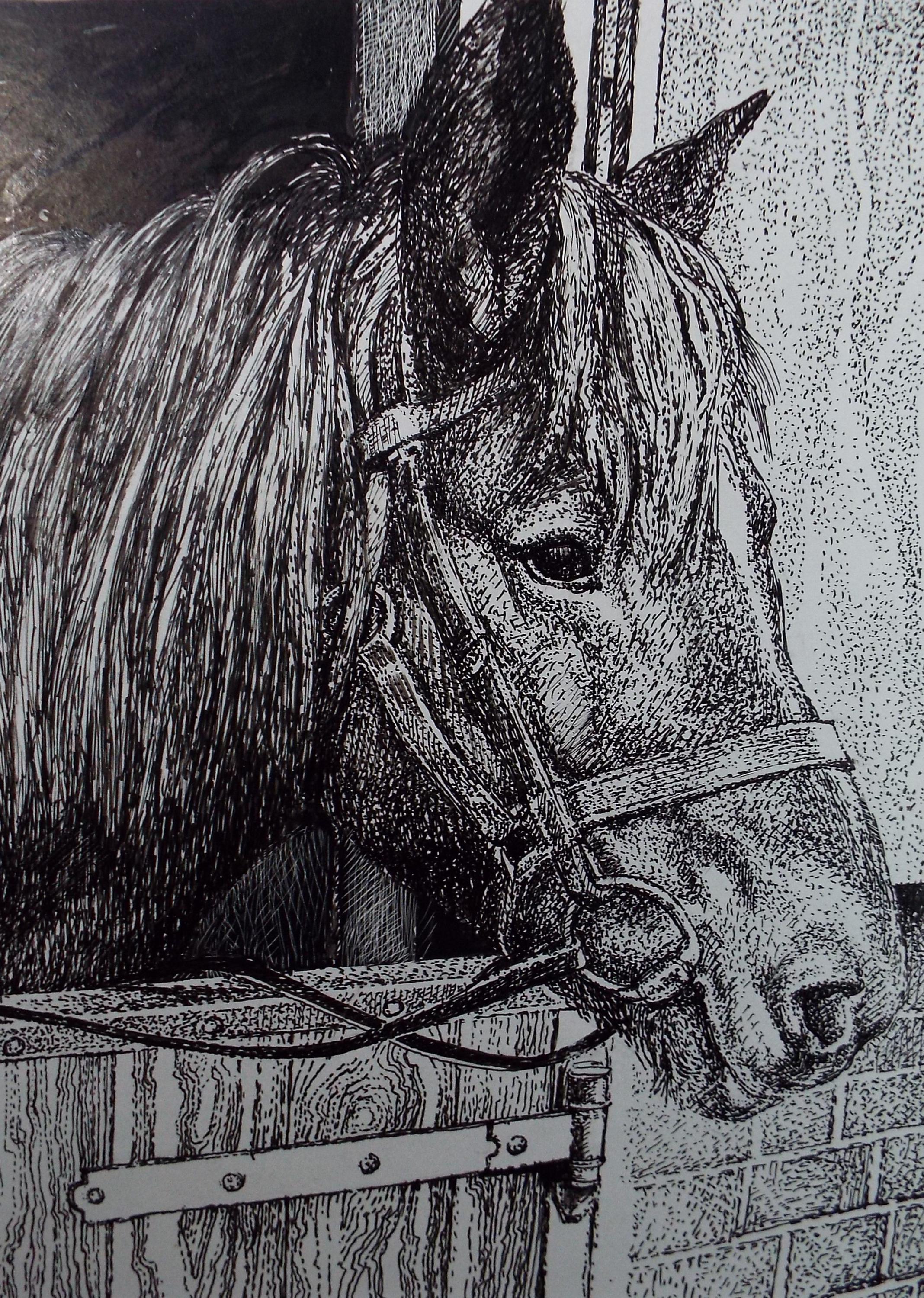 Original Scraperboard & ink drawing, 'Nutmeg in her Stable', Lorraine Abraham RSMA (1941-2023), Circa 1990's