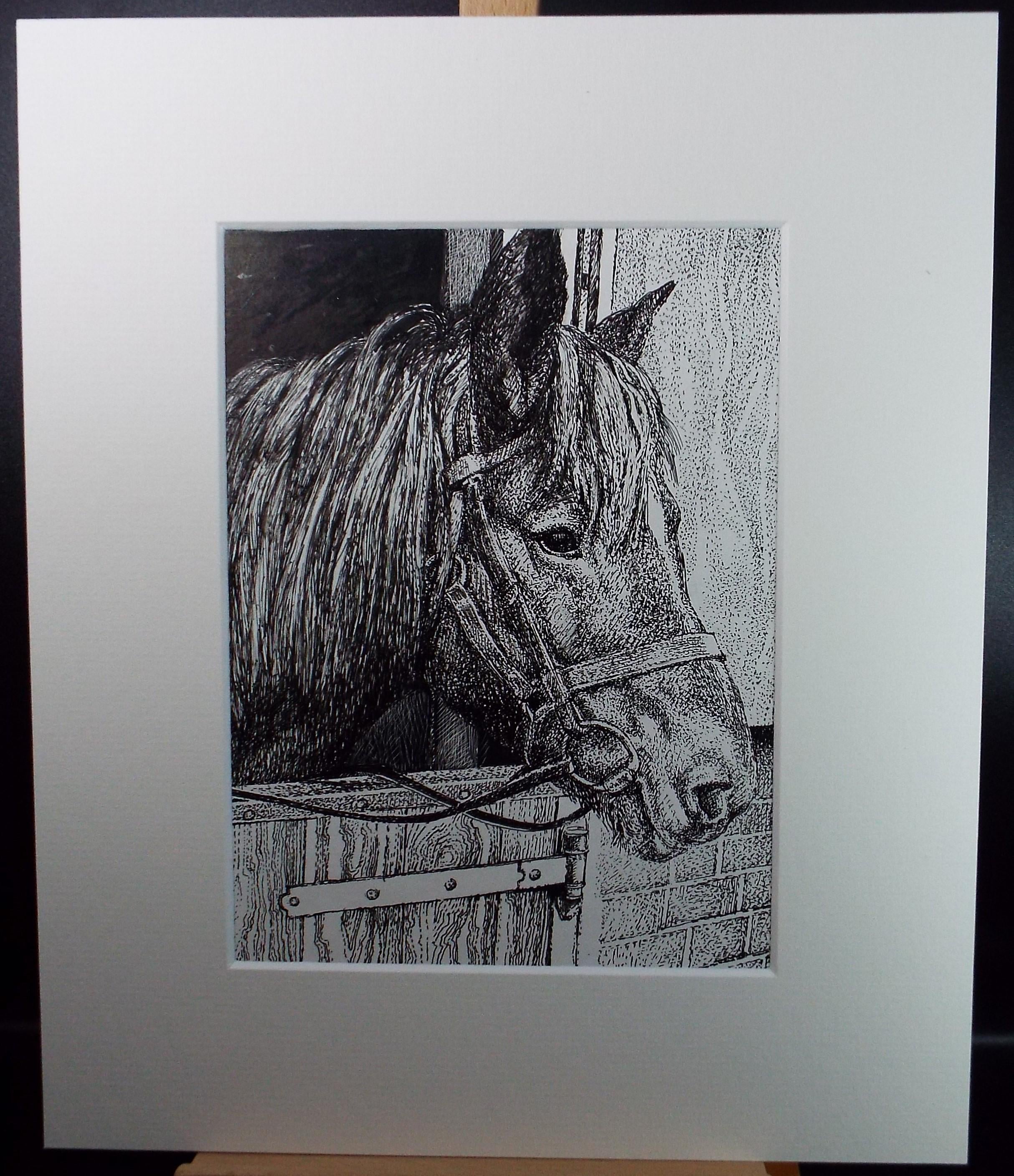 Original Scraperboard & ink drawing, 'Nutmeg in her Stable', Lorraine Abraham RSMA (1941-2023), Circa 1990's