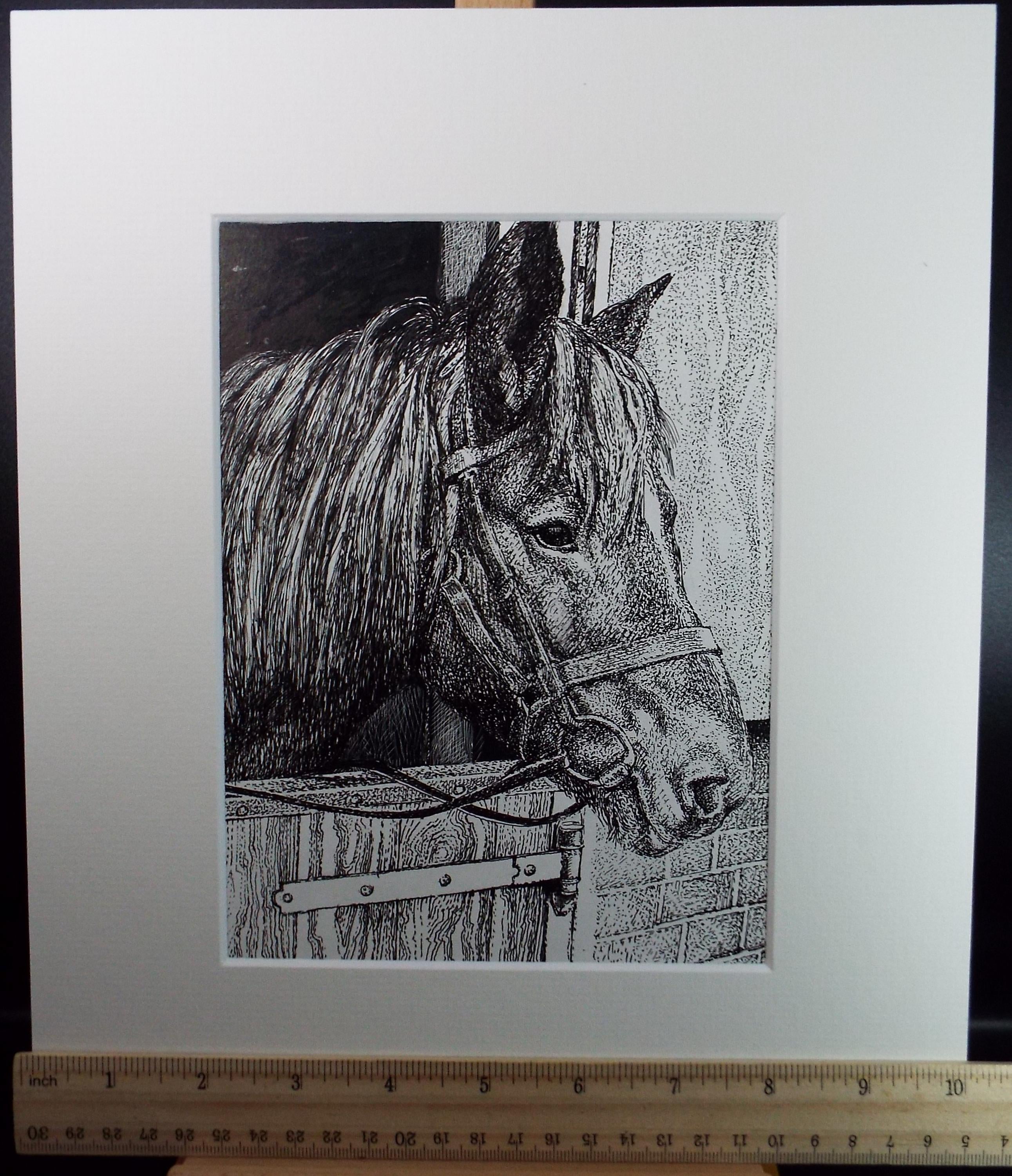 Original Scraperboard & ink drawing, 'Nutmeg in her Stable', Lorraine Abraham RSMA (1941-2023), Circa 1990's
