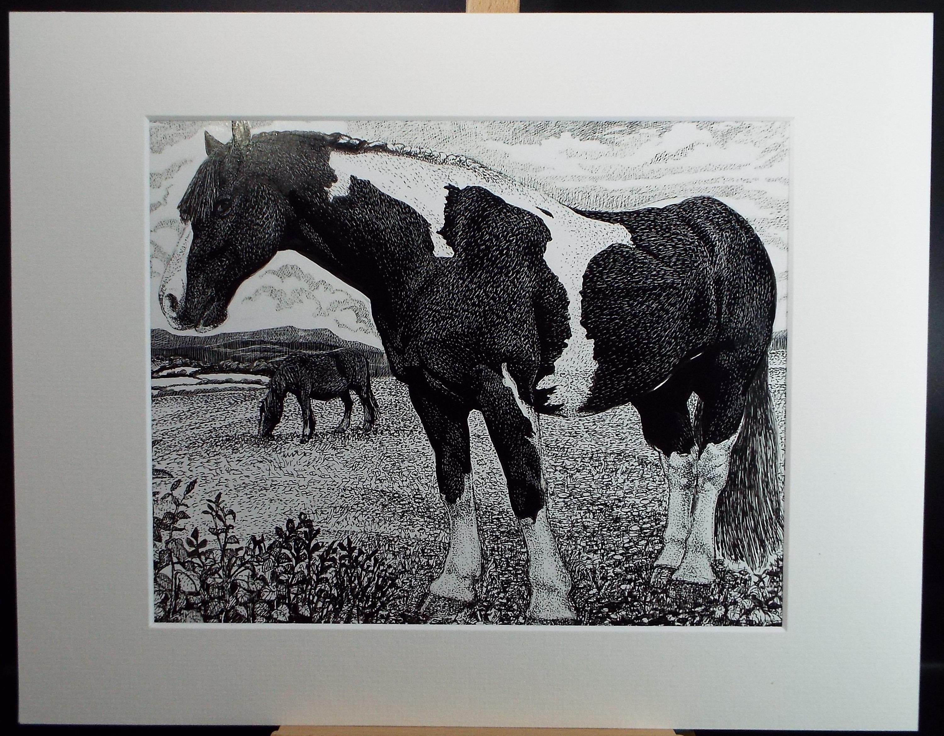 Original Scraperboard & ink drawing, 'Pinto Horse', Lorraine Abraham RSMA (1941-2023), Circa 1990's