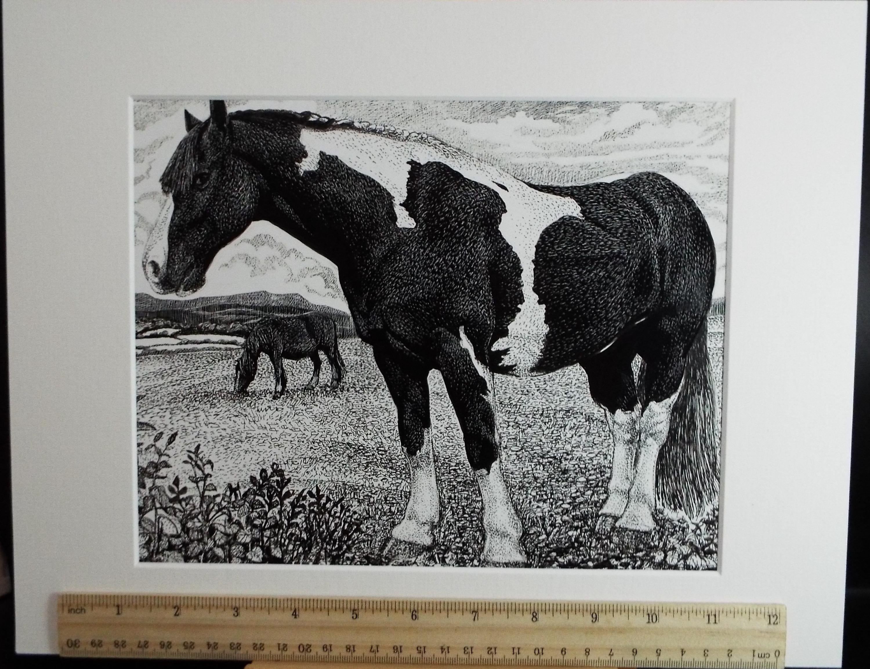 Original Scraperboard & ink drawing, 'Pinto Horse', Lorraine Abraham RSMA (1941-2023), Circa 1990's