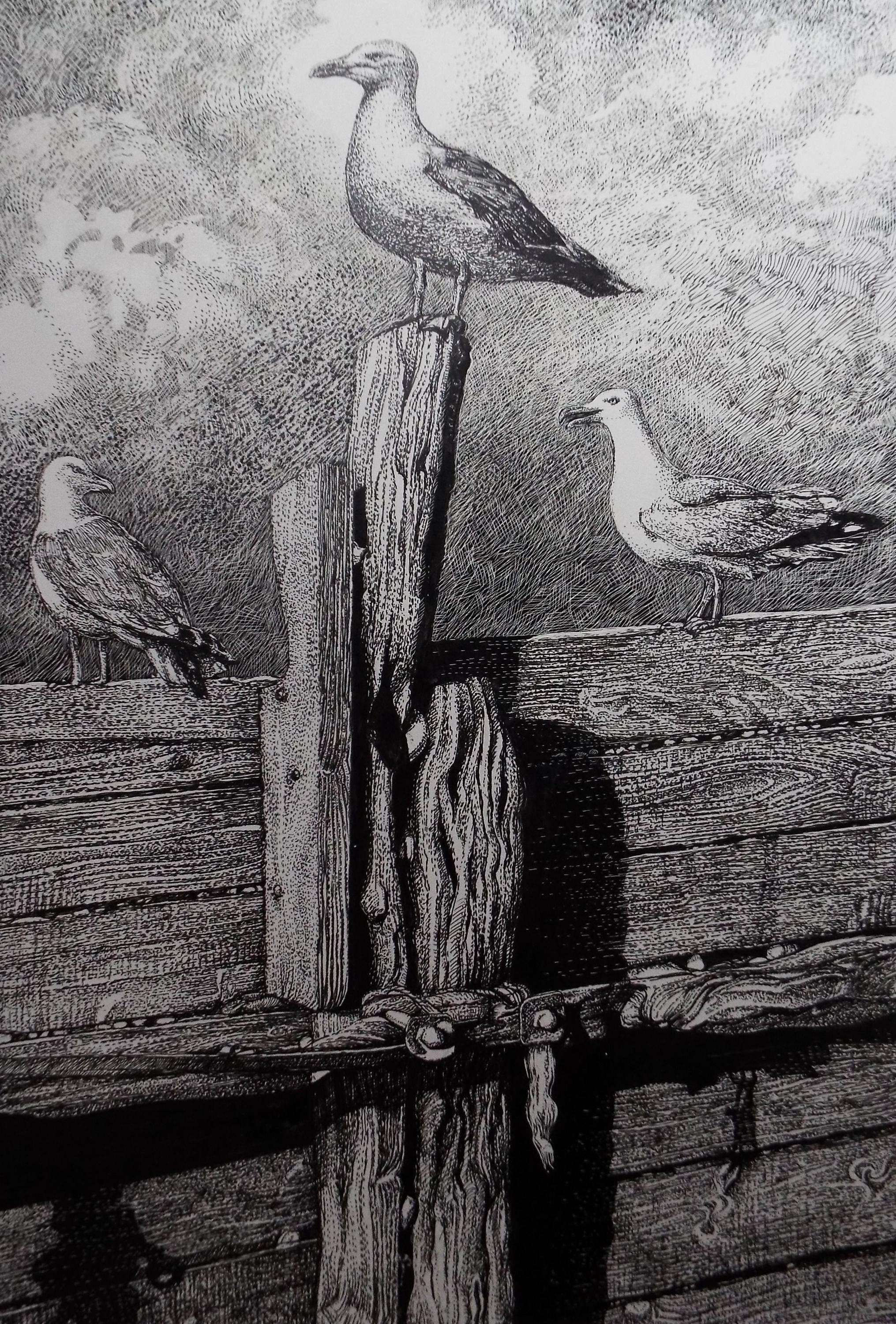 Original Scraperboard & ink drawing, 'Trio of Herring Gulls', Lorraine Abraham RSMA (1941-2023), Circa 1990's