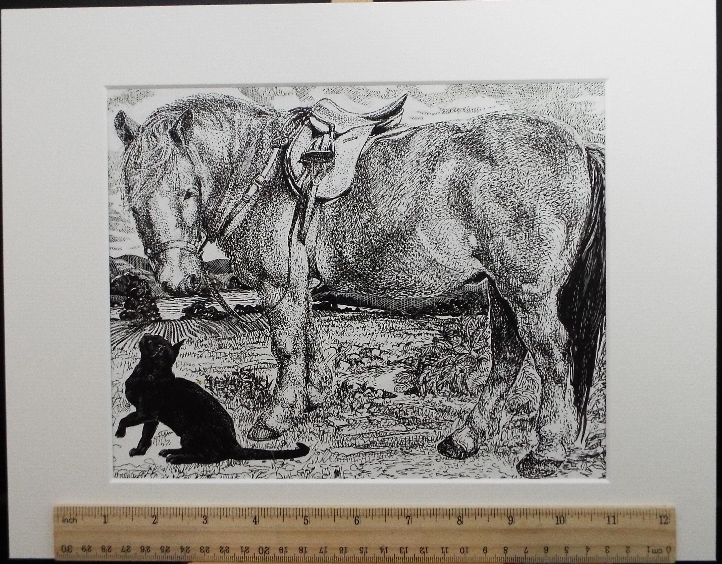 Original Scraperboard & ink drawing, 'Pony and Black Cat', Lorraine Abraham RSMA (1941-2023), Circa 1990's