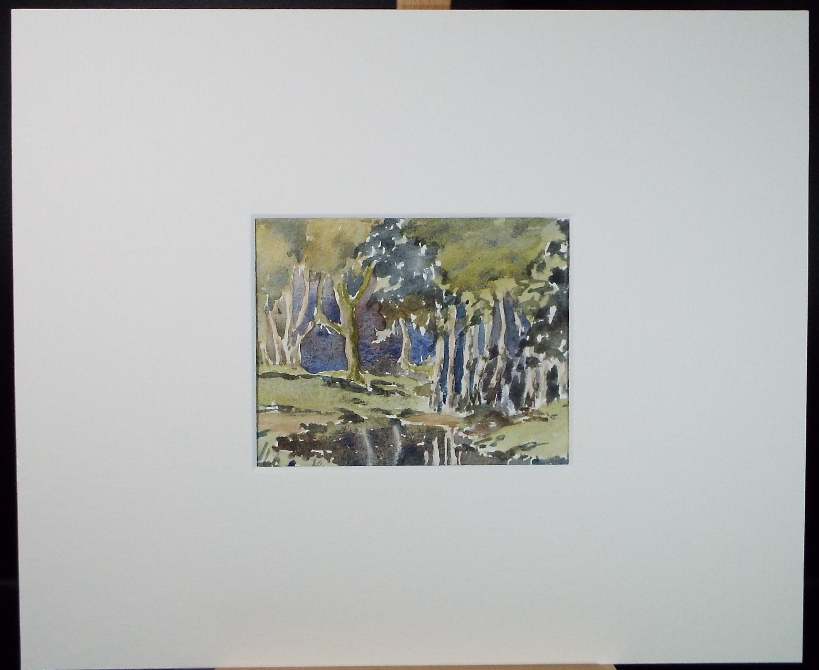 Original Watercolour, 'The Mere', Circa 1990's, Artist Unknown