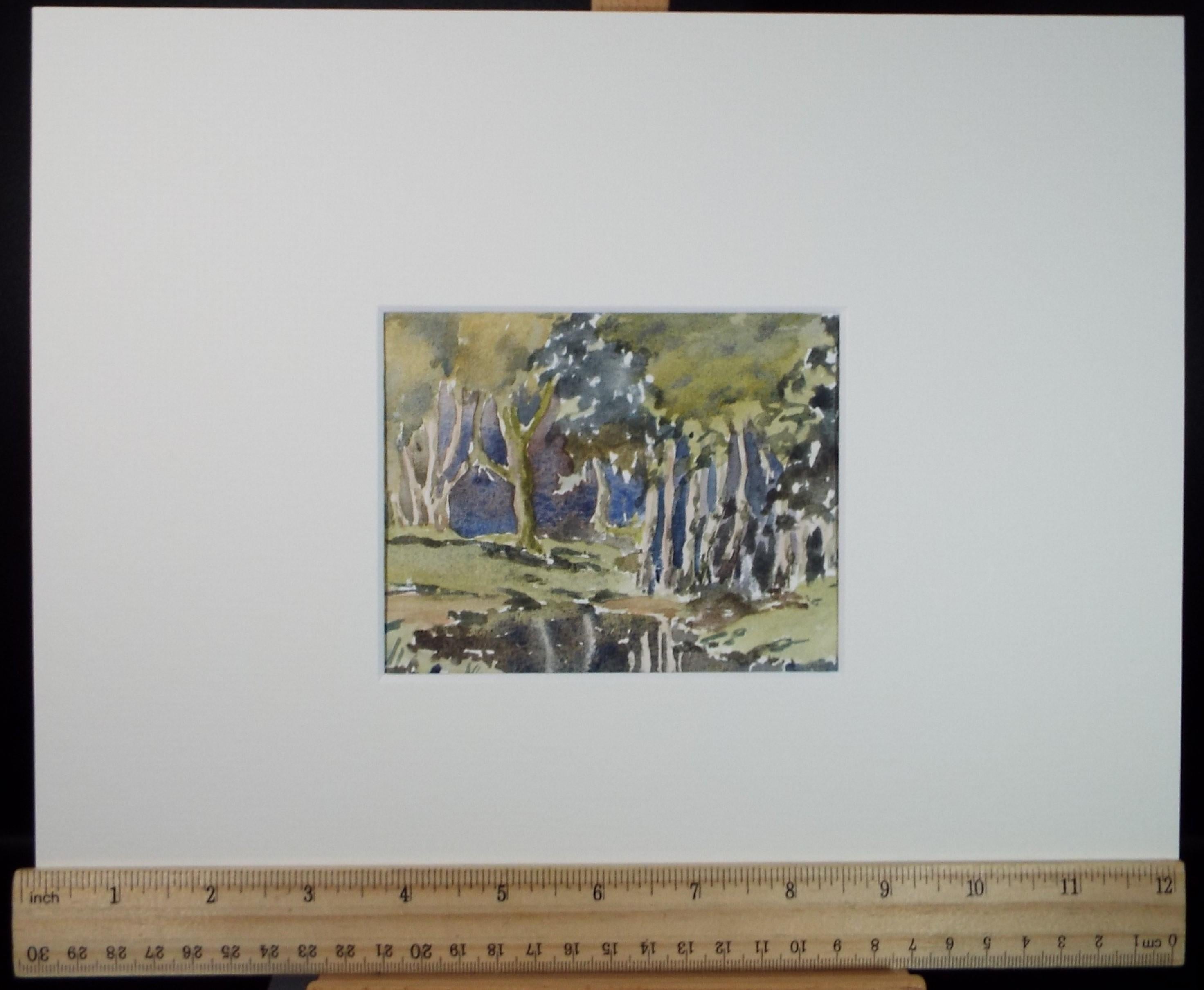 Original Watercolour, 'The Mere', Circa 1990's, Artist Unknown