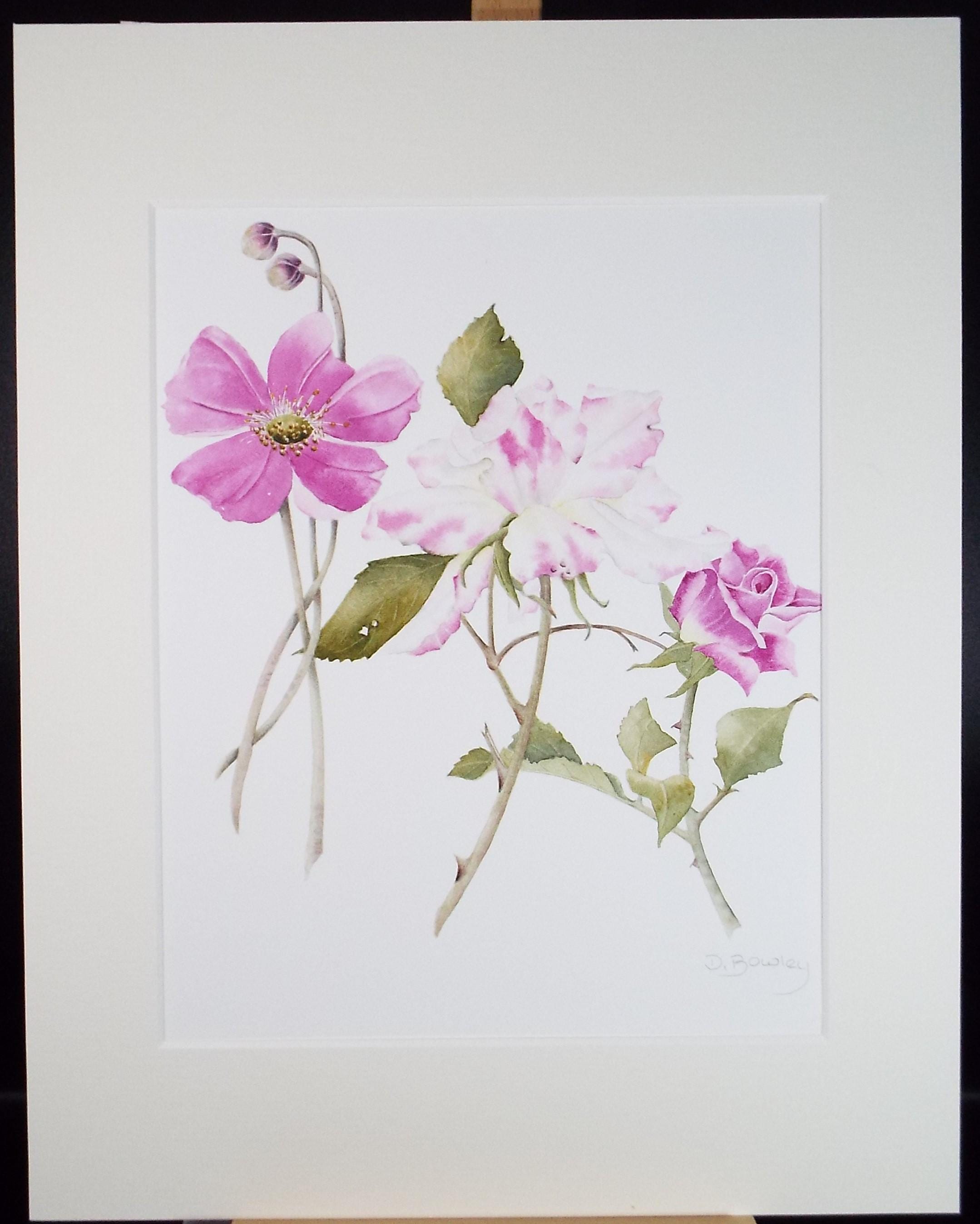 Original Watercolour, 'Pink rose Study, Circa 1990's, Diane Bowley (20th Century, British)