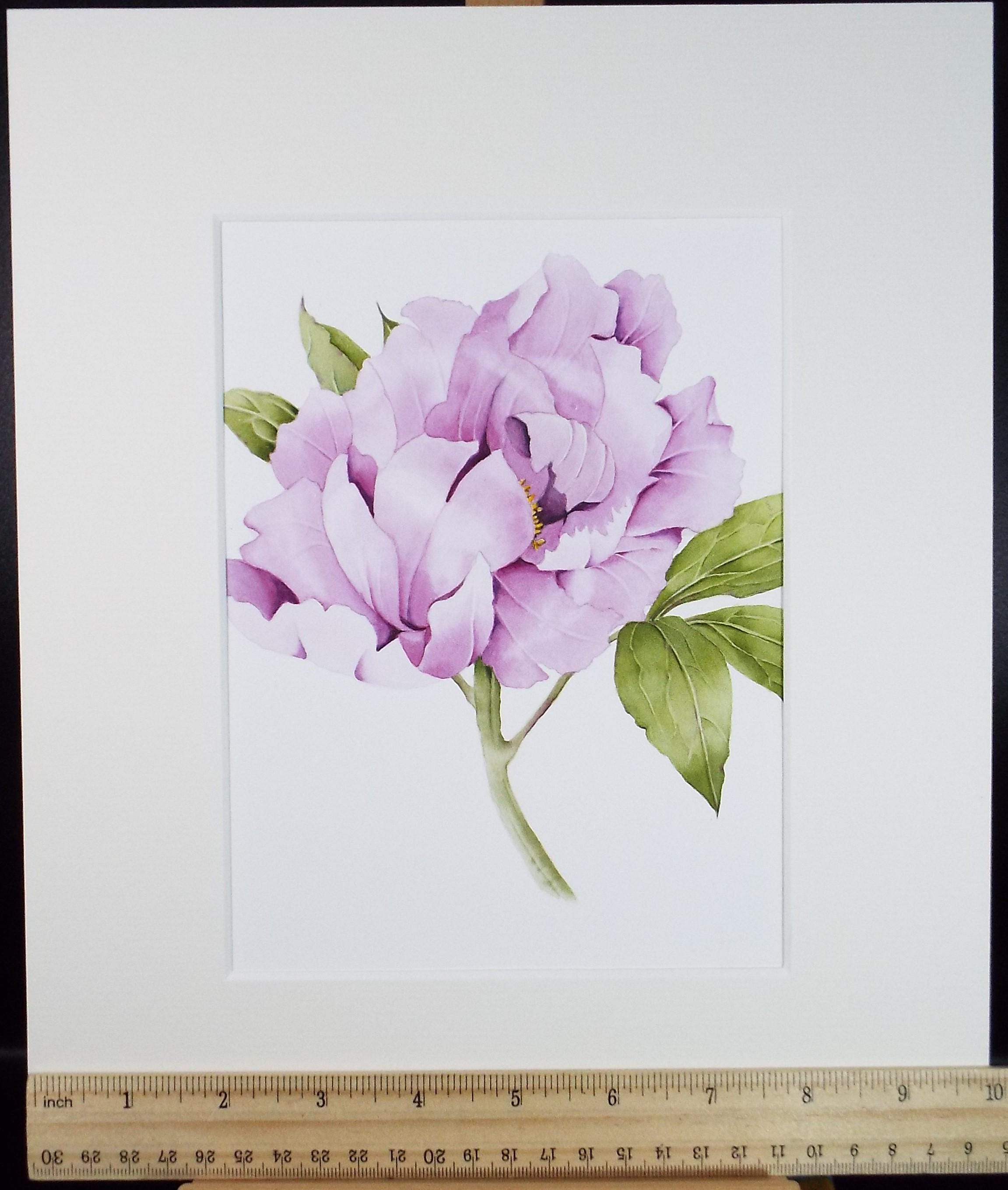 Original Watercolour, 'Peony', Circa 1990's, Diane Bowley (20th Century, British)