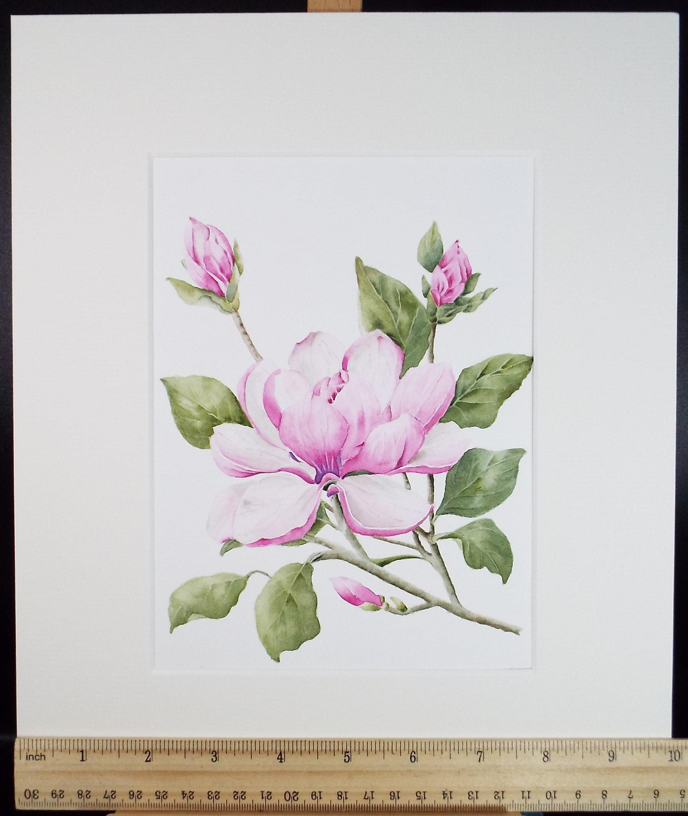 Original Watercolour, 'Magnolia', Circa 1990's, Diane Bowley (20th Century, British)