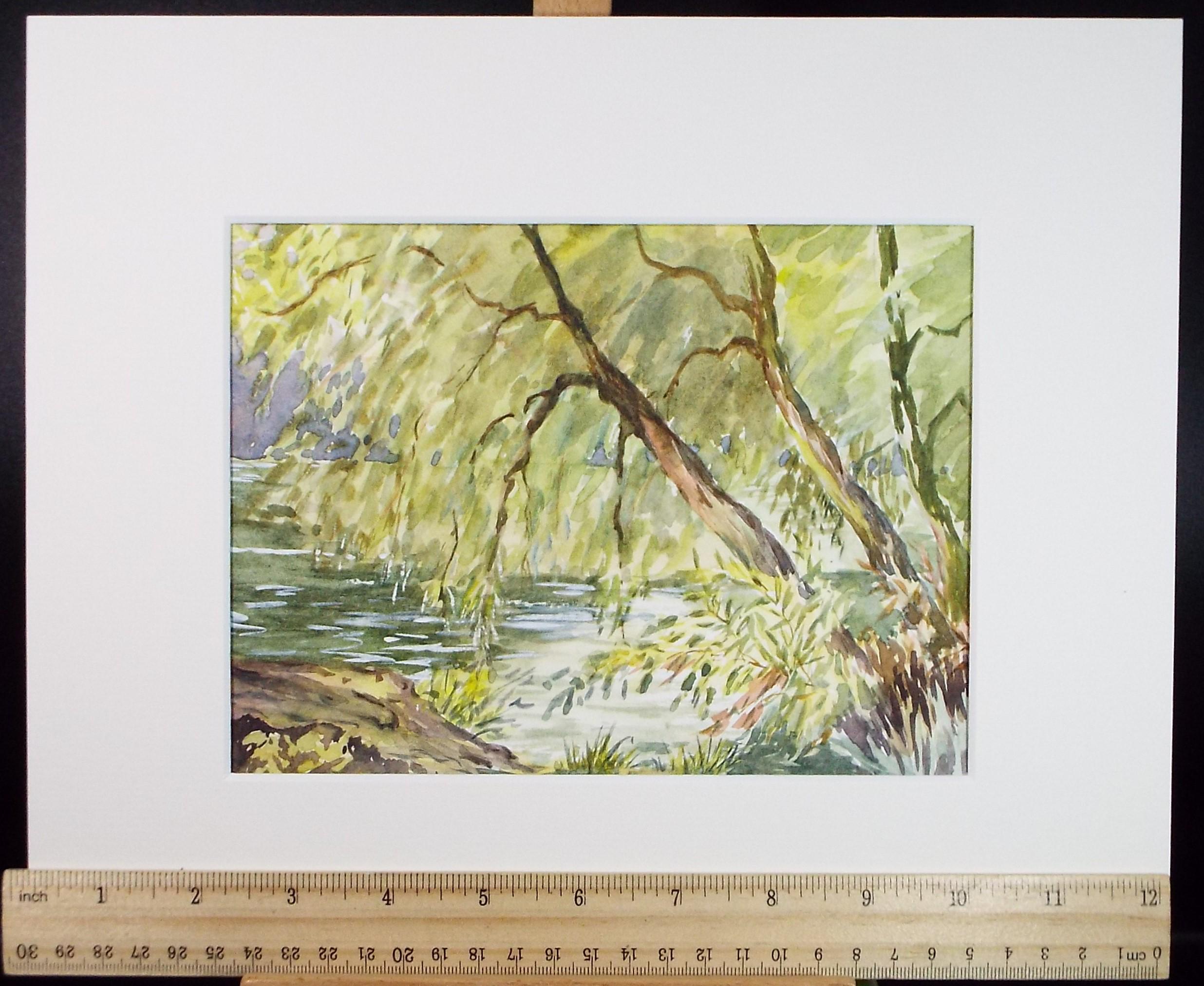 Original Watercolour, 'Willows, Sonning on Thames', Artist Unknown, Dated 1995