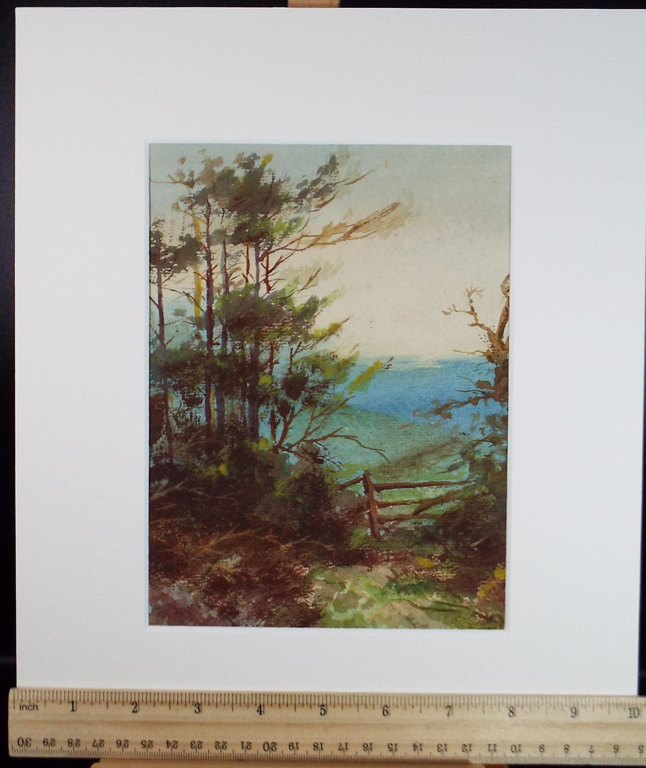 Original Watercolour, 'Woodland Edge', Circa 1920's, Artist Unknown.