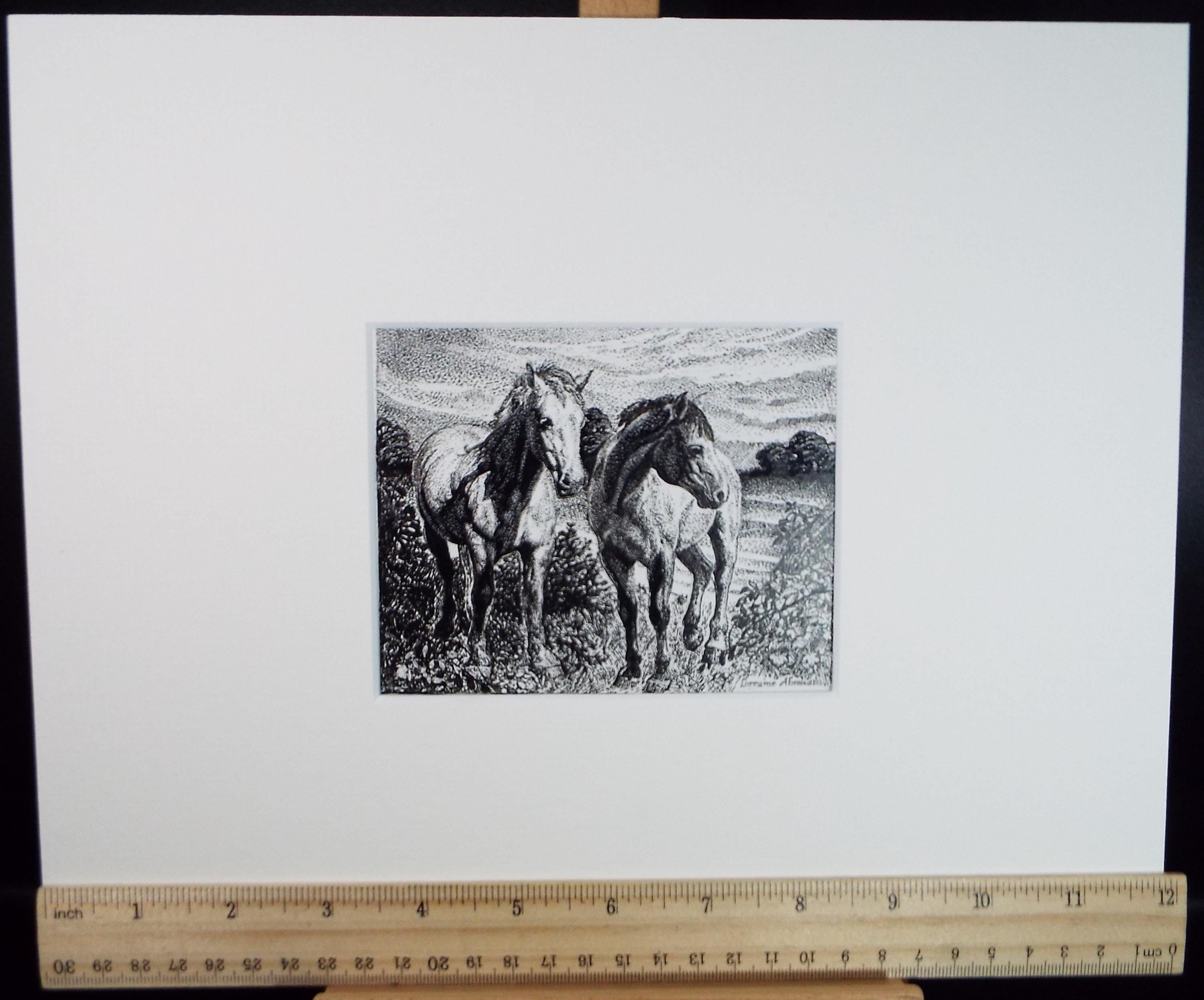 Original Scraperboard & ink drawing, 'Pair of Horses', Lorraine Abraham RSMA (1941-2023), Circa 1990's
