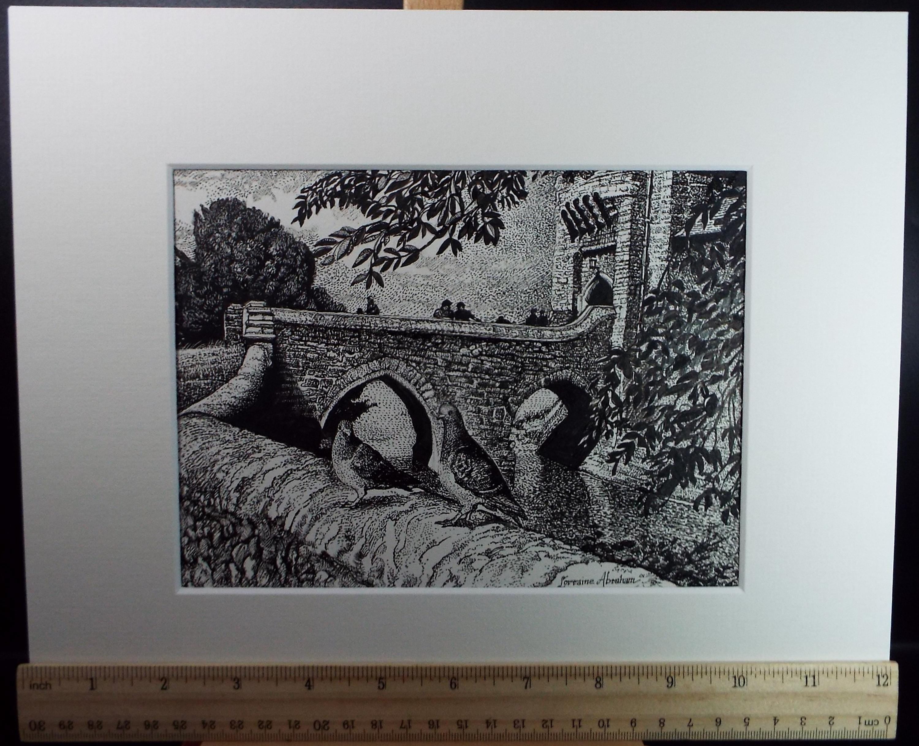 Original Scraperboard & ink drawing, 'Pigeons on the Wall', Lorraine Abraham RSMA (1941-2023), Circa 1990's