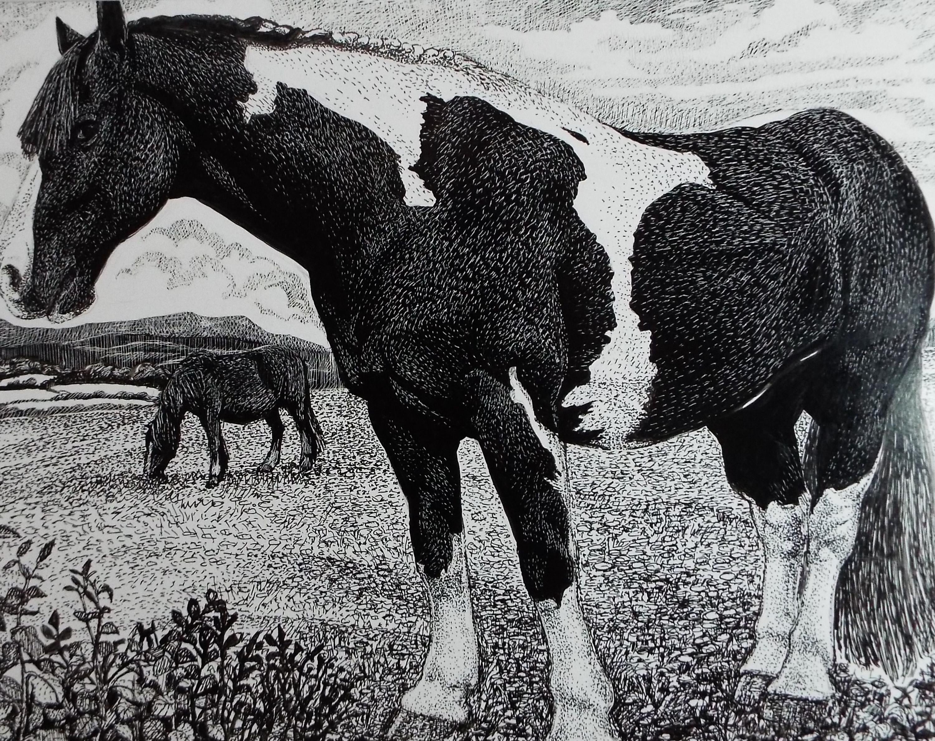 Original Scraperboard & ink drawing, 'Pinto Horse', Lorraine Abraham RSMA (1941-2023), Circa 1990's