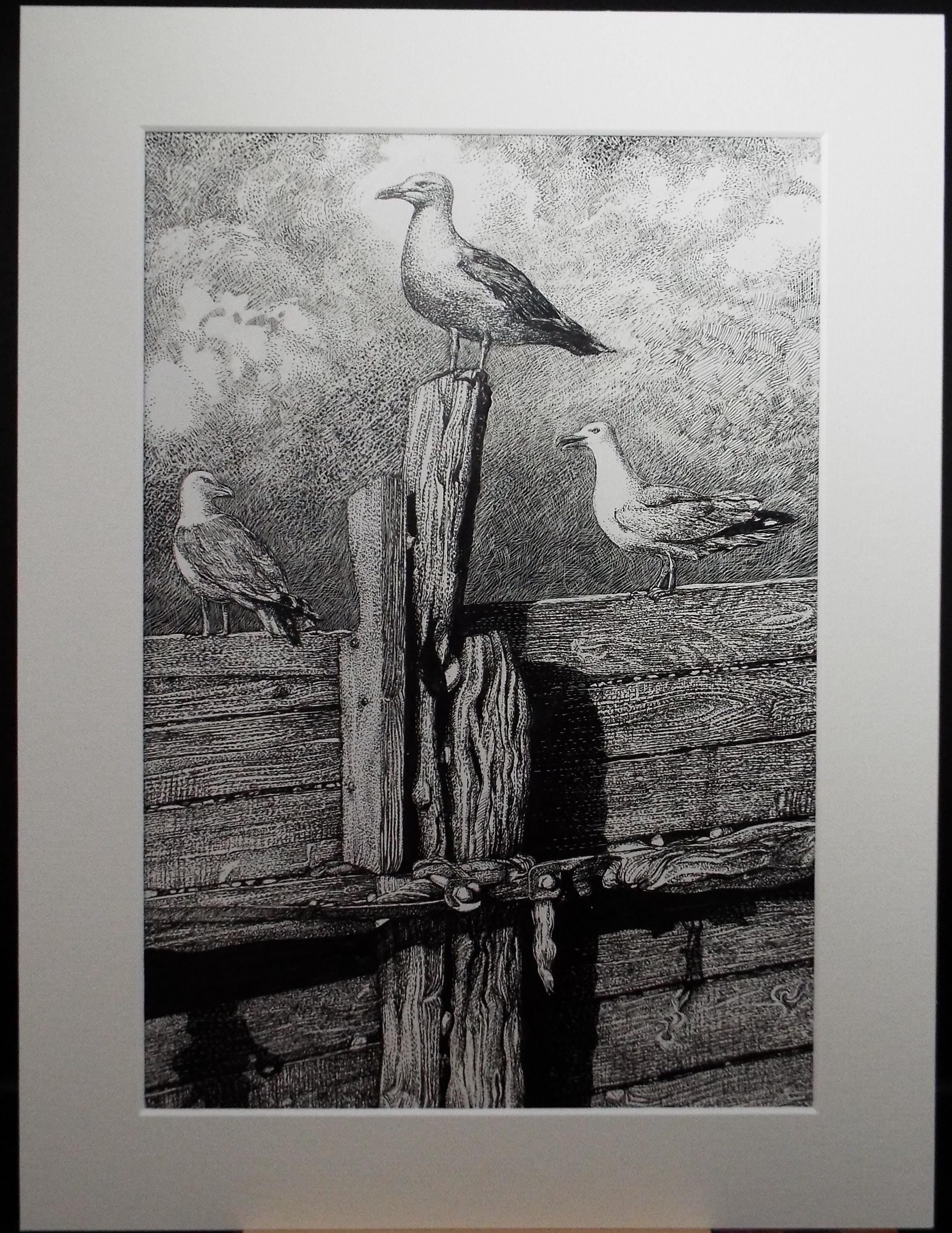 Original Scraperboard & ink drawing, 'Trio of Herring Gulls', Lorraine Abraham RSMA (1941-2023), Circa 1990's