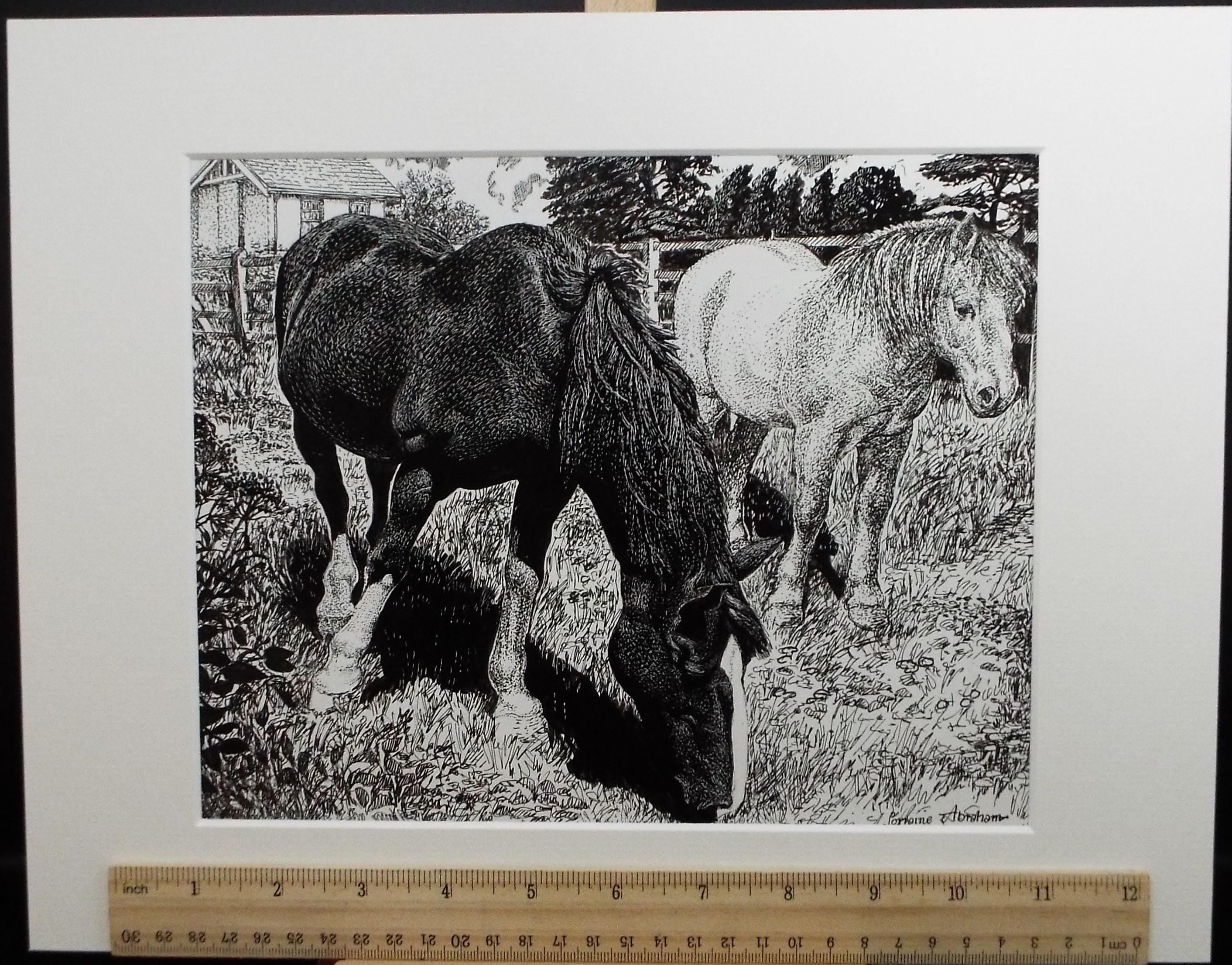 Original Scraperboard & ink drawing, 'Two Ponies', Lorraine Abraham RSMA (1941-2023), Circa 1990's