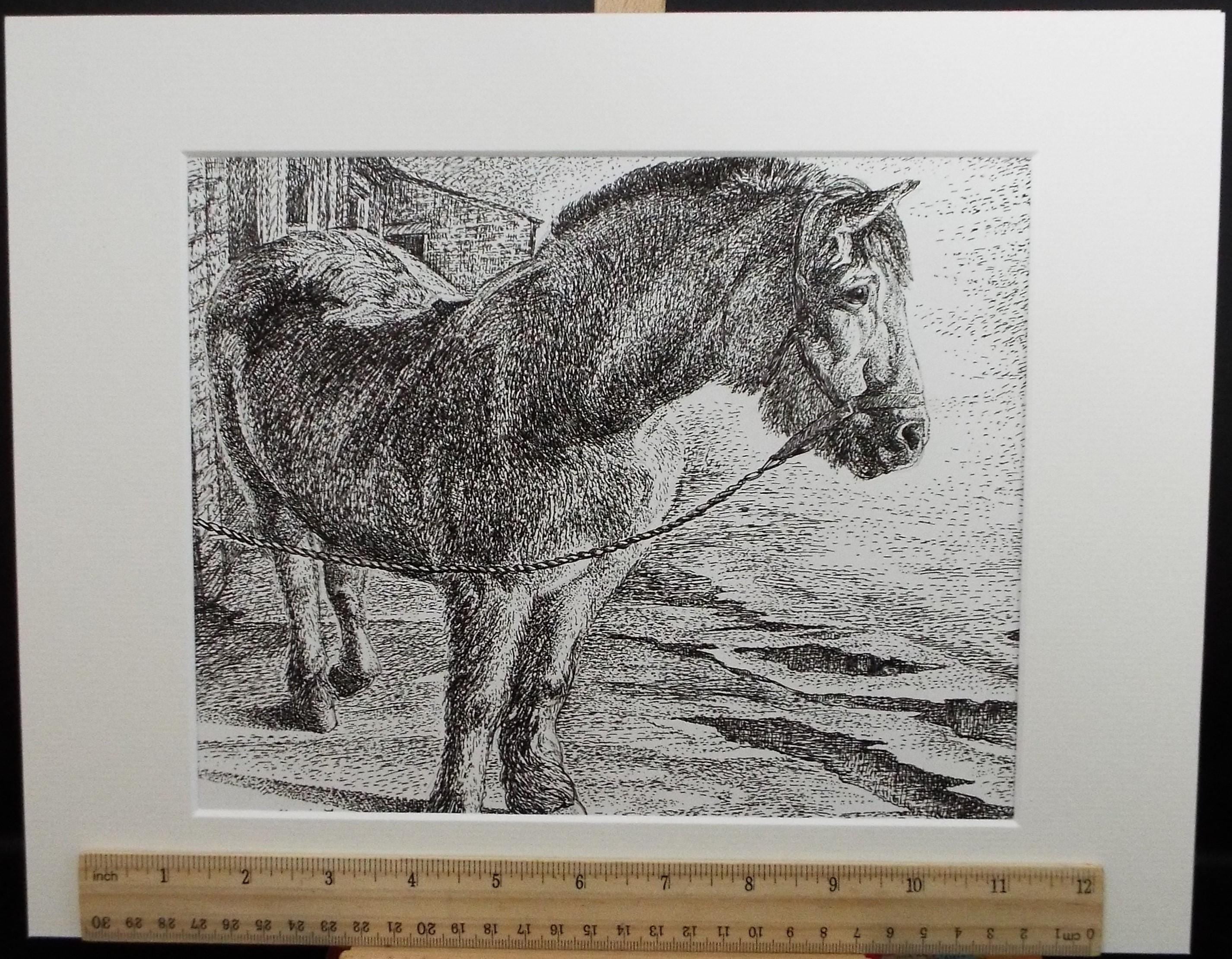 Original Scraperboard & ink drawing, 'Muffin', Lorraine Abraham RSMA (1941-2023), Circa 1990's