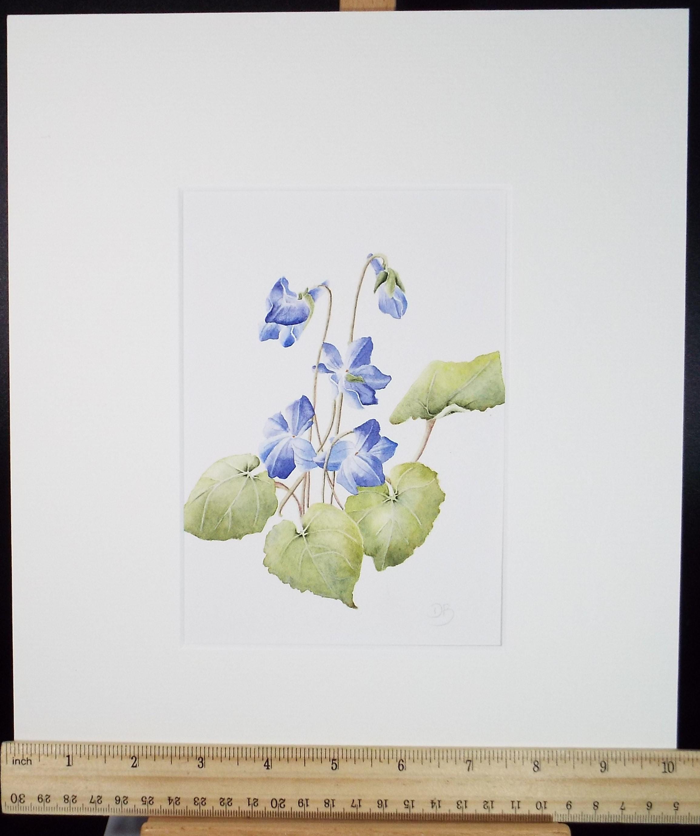 Original Watercolour, 'Violets', Circa 1990's, Diane Bowley (20th Century, British)