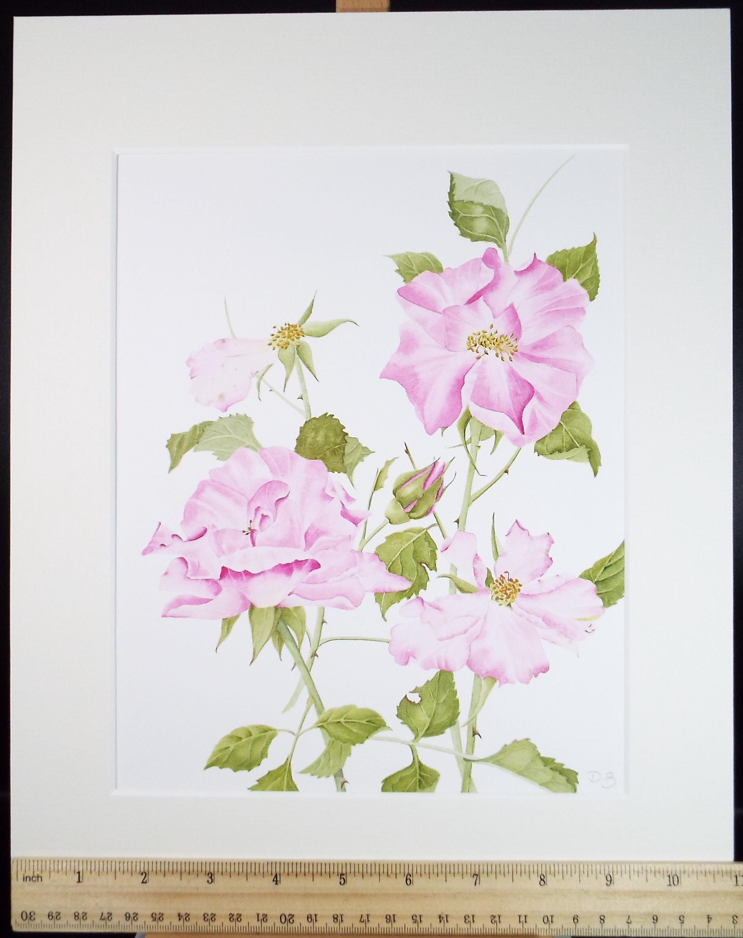 Original Watercolour, 'Wild Roses', Circa 1990's, Diane Bowley (20th Century, British)