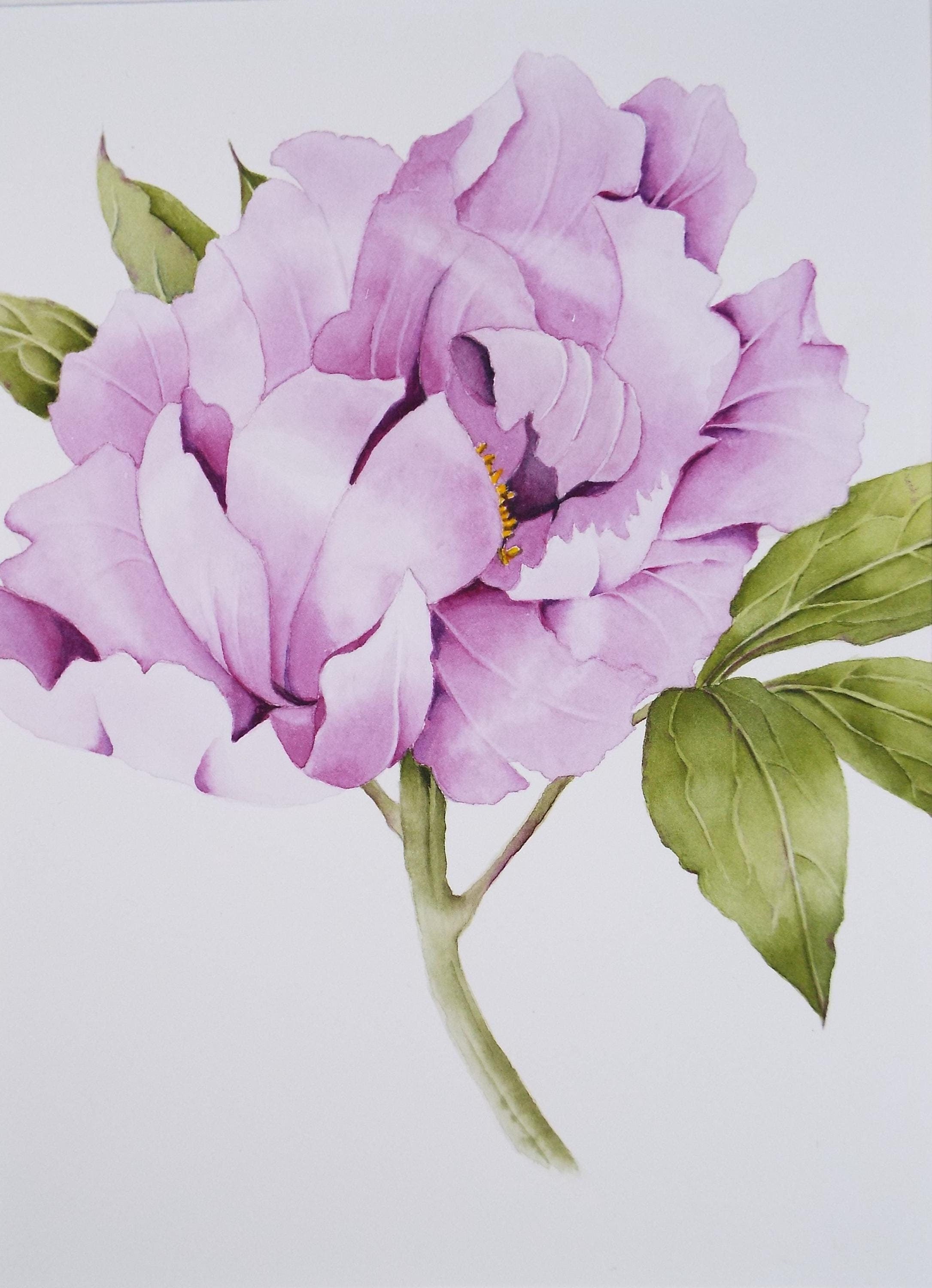 Original Watercolour, 'Peony', Circa 1990's, Diane Bowley (20th Century, British)