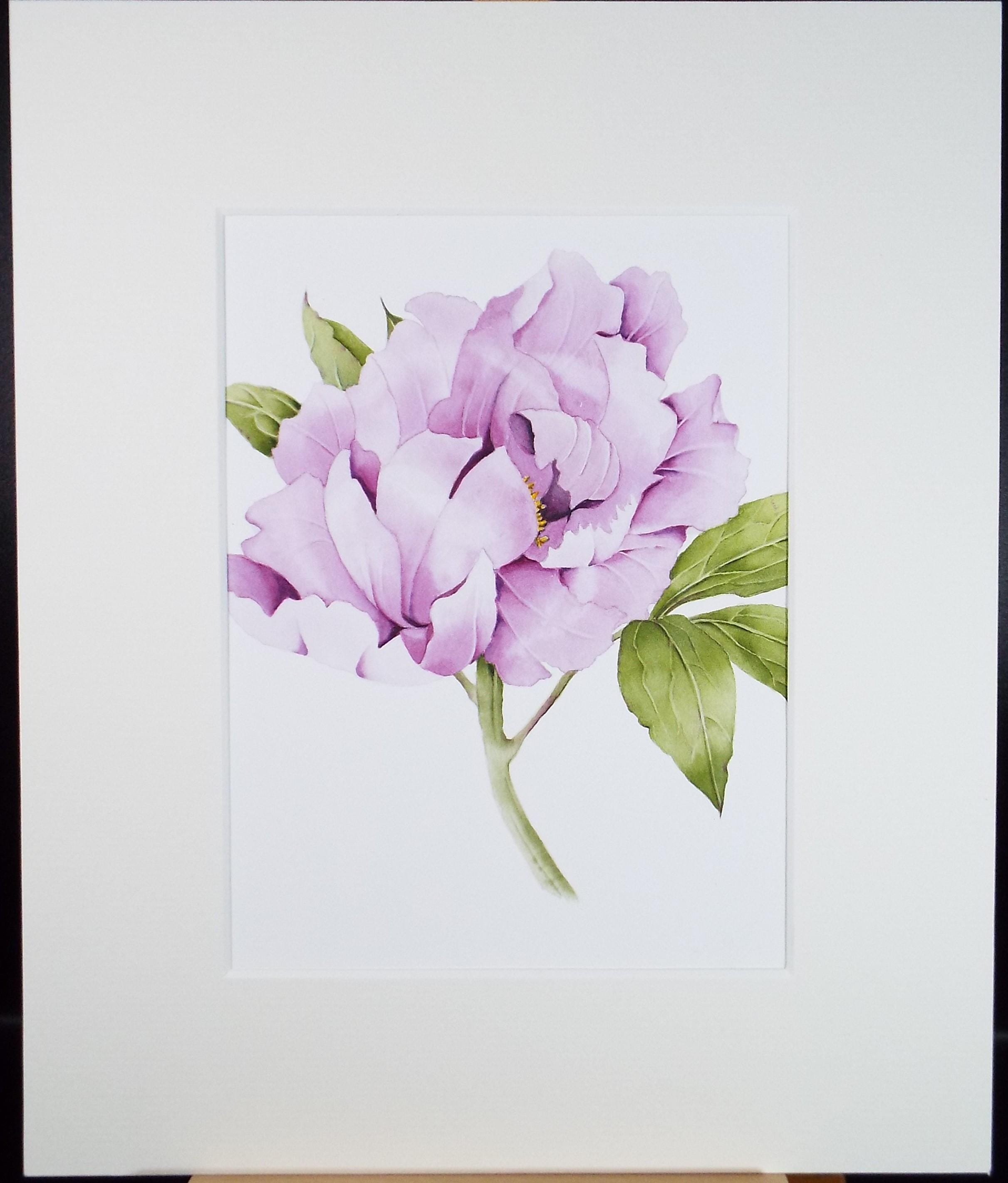 Original Watercolour, 'Peony', Circa 1990's, Diane Bowley (20th Century, British)