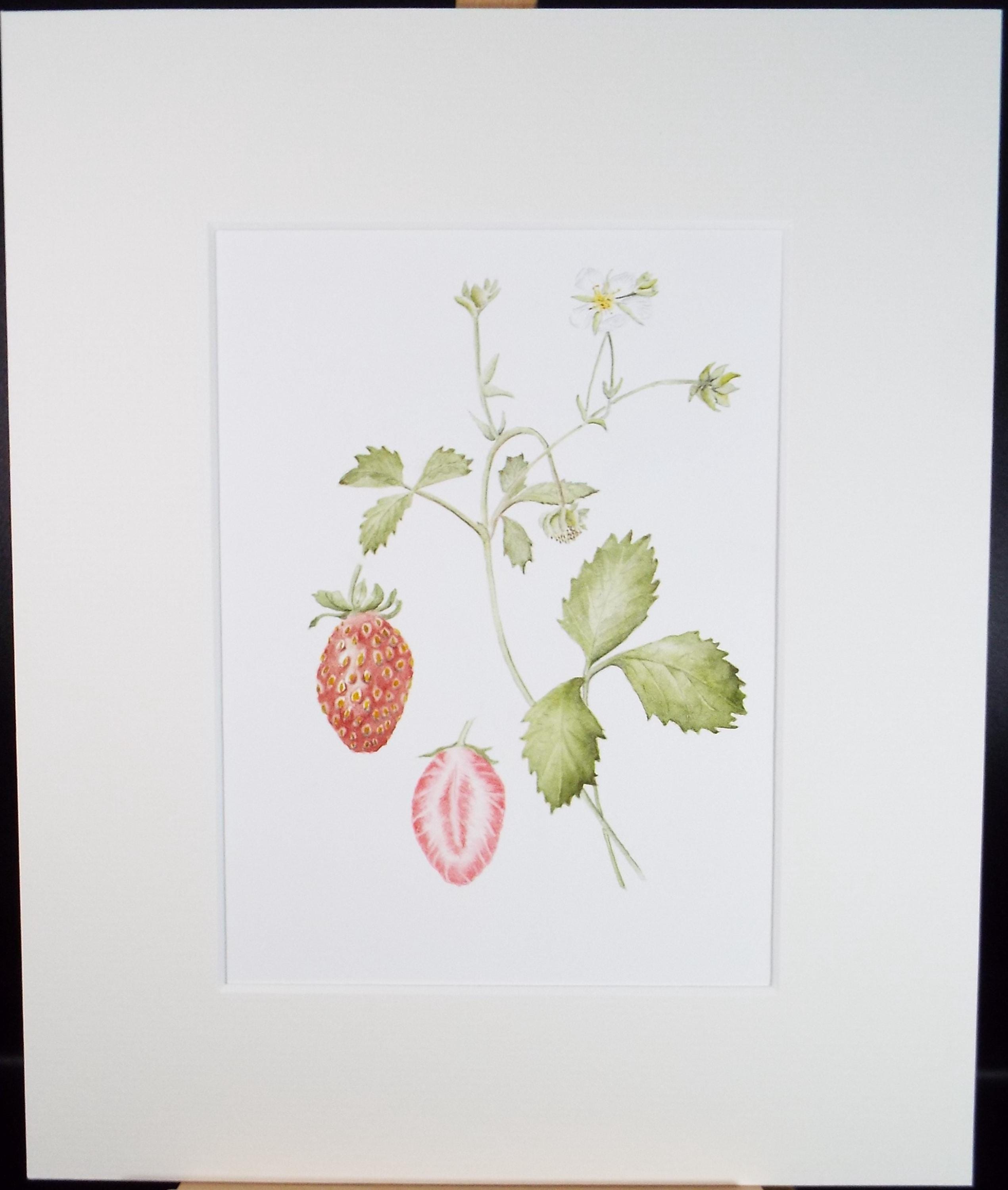 Original Watercolour, 'Strawberries', Circa 1990's, Diane Bowley (20th Century, British)