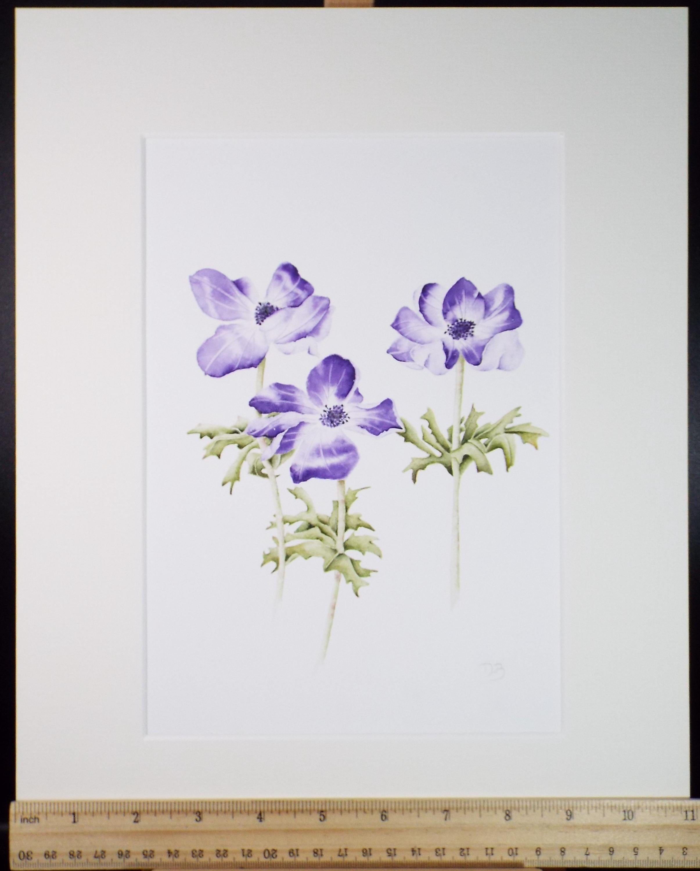 Original Watercolour, 'Anemones', Circa 1990's, Diane Bowley (20th Century, British)