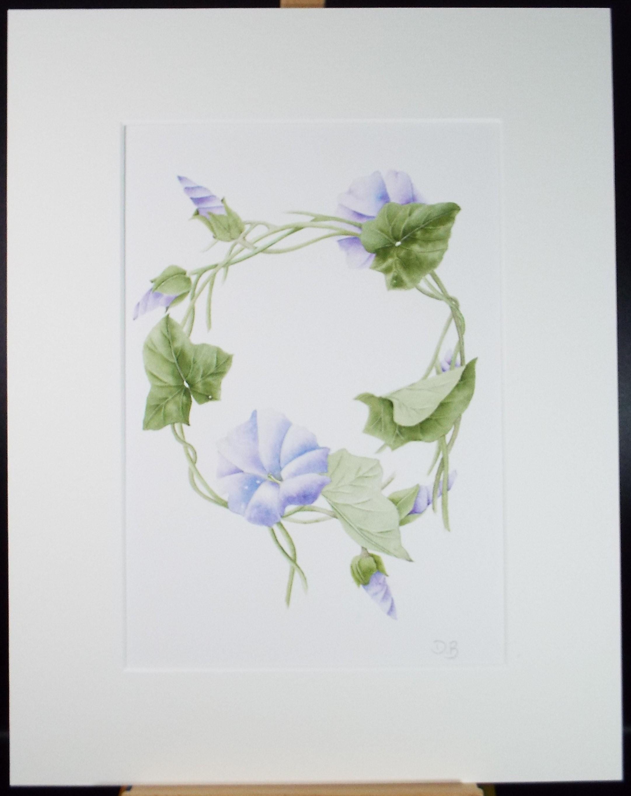 Original Watercolour, 'Morning Glory', Circa 1990's, Diane Bowley (20th Century, British)